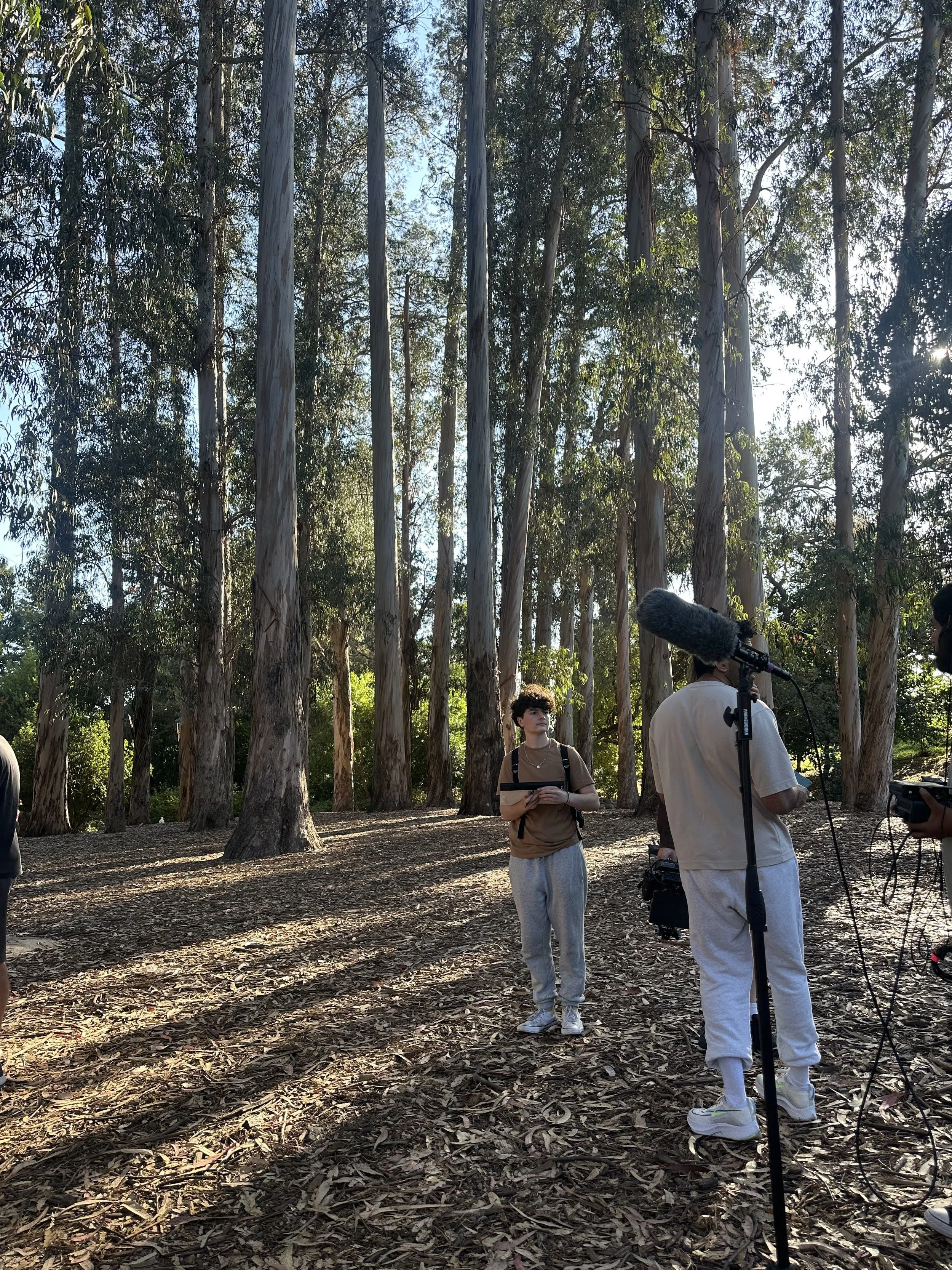 A group of people, including a young man holding a clipboard, filming or recording in a forested area with tall trees and dappled sunlight.