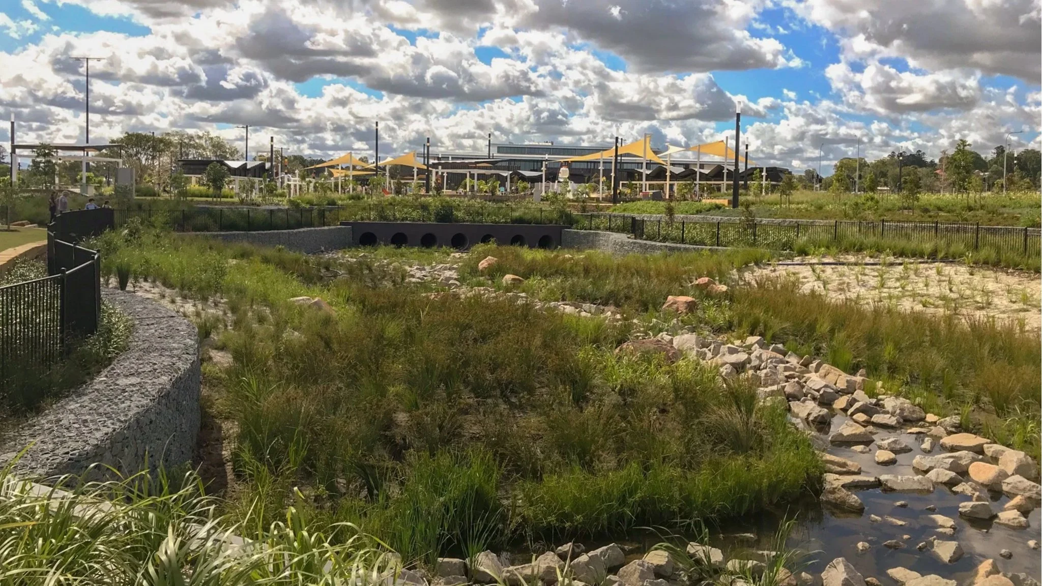 Petrie Mill Drainage Corridor