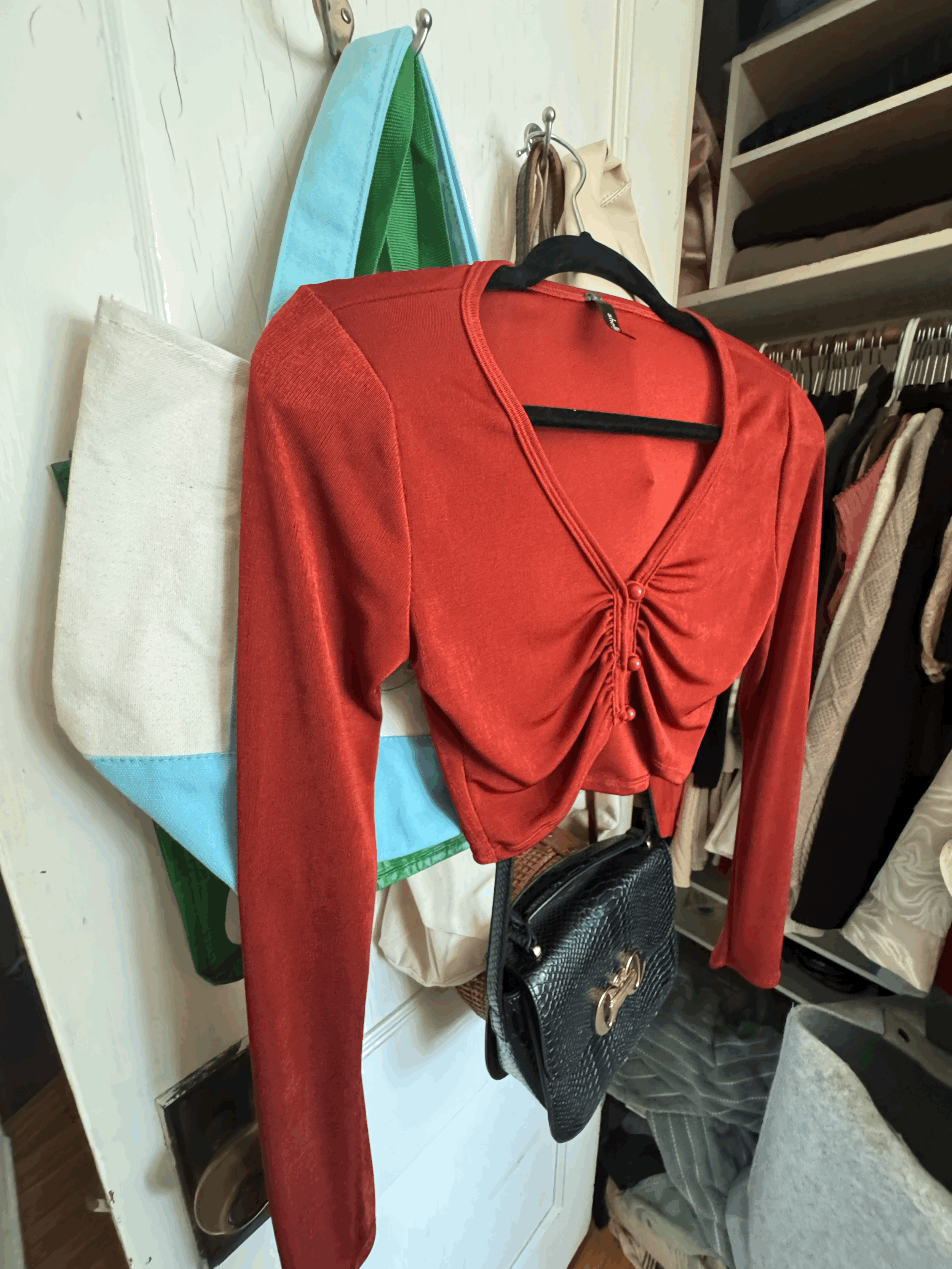 Sheen burnt-orange crop top