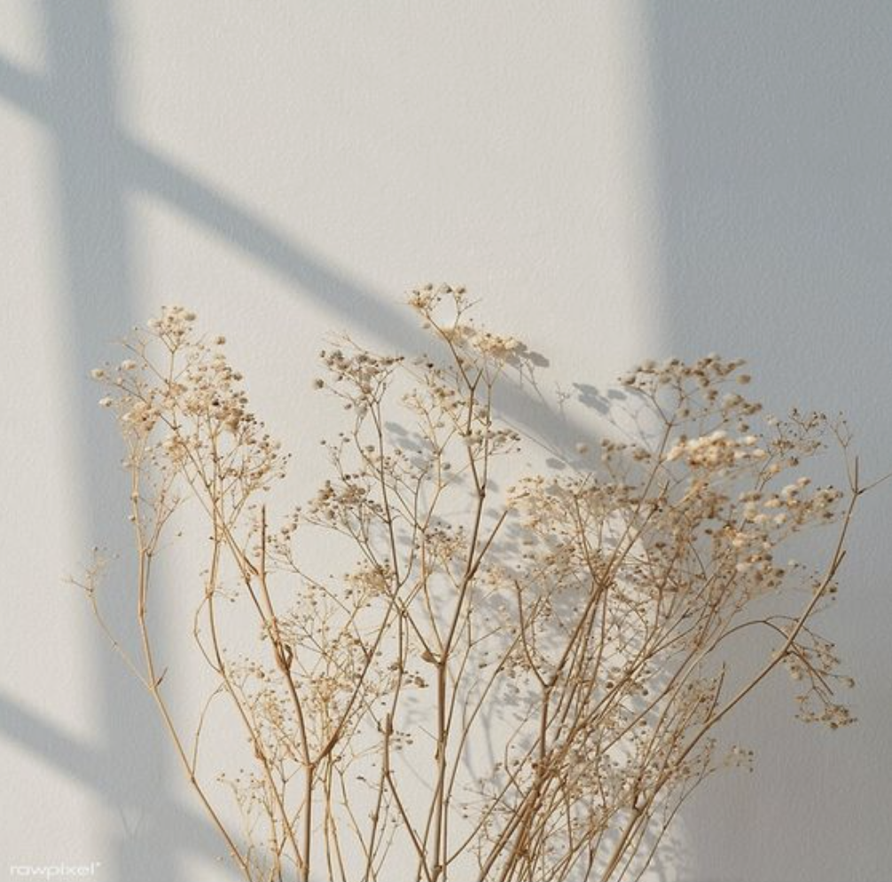 Screen Shot 2021-02-02 at 9.34.01 PM.png