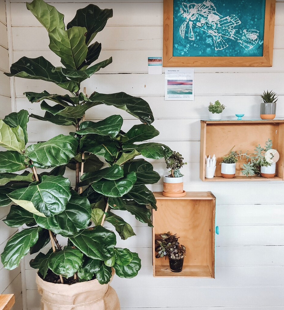 Screenshot 2025-12-10 110447.png