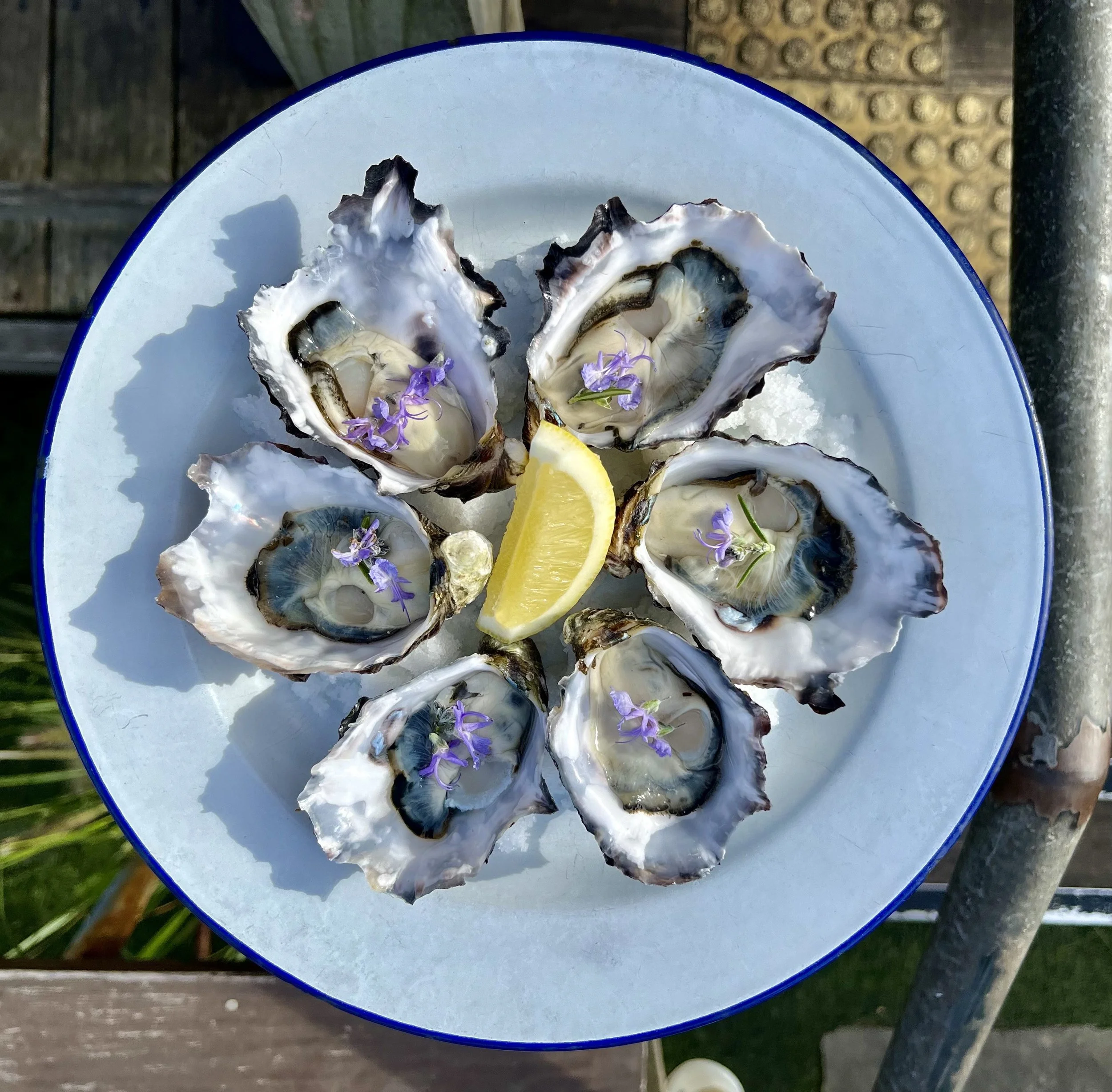 FullSizeRender (1).jpeg