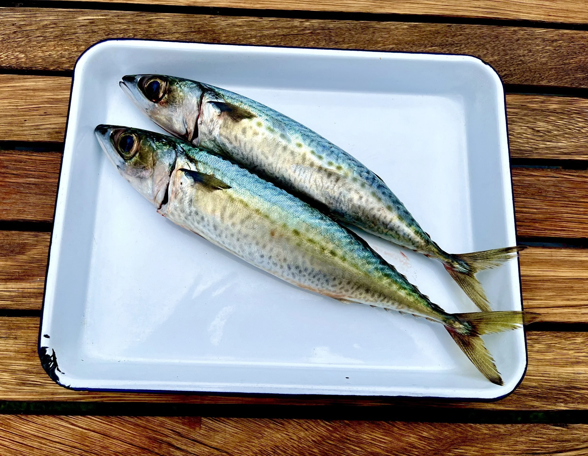 FullSizeRender (6).jpeg