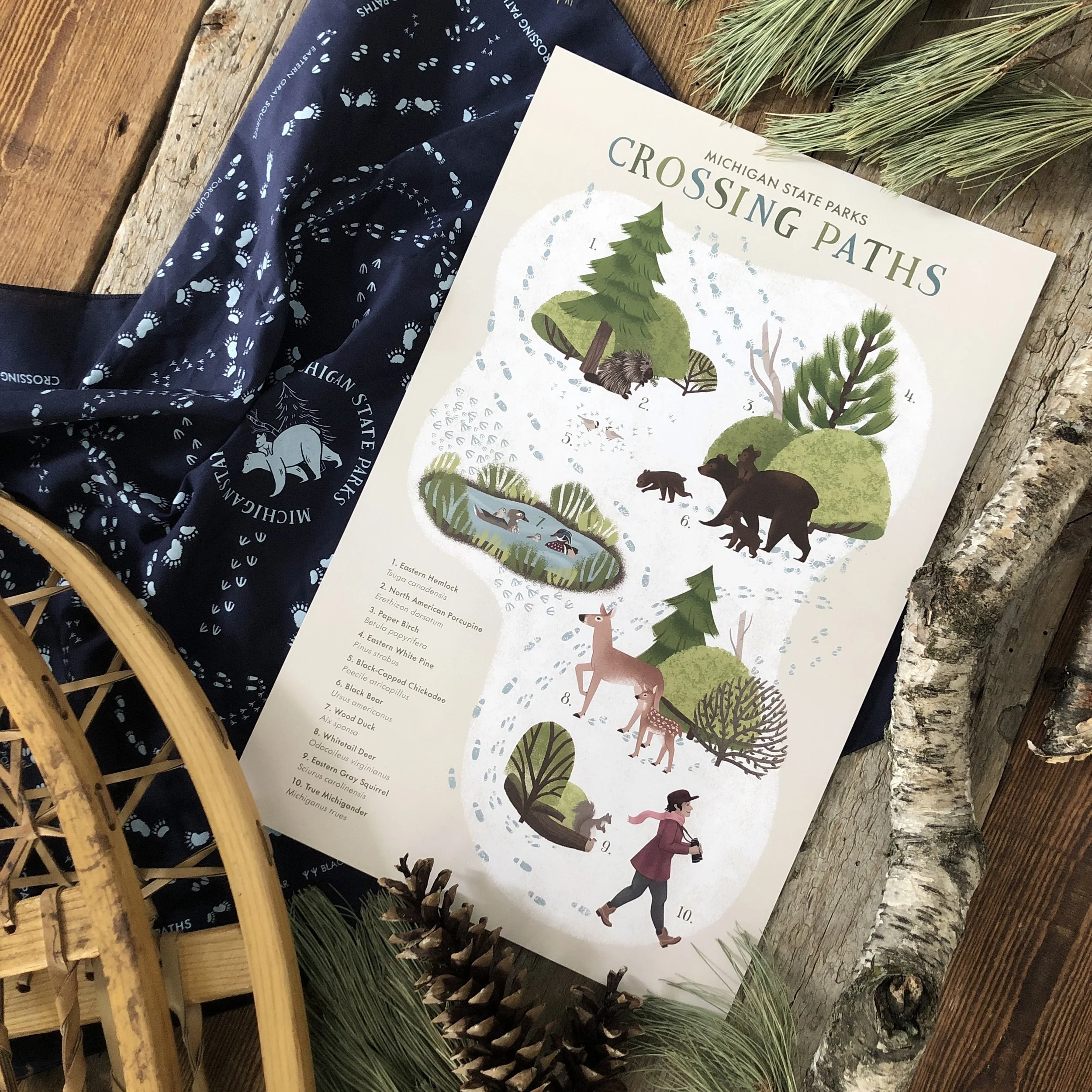 Peninsulas Artist Series