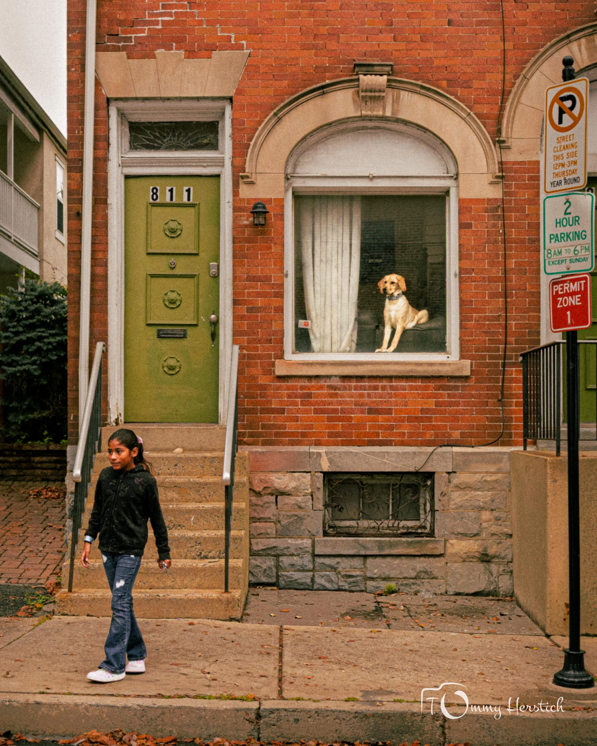 A girl walking on the sidewalk in front of a brick house, with a green door and a window. Inside the window, a dog is sitting and looking out. There are street signs on the right side of the image.