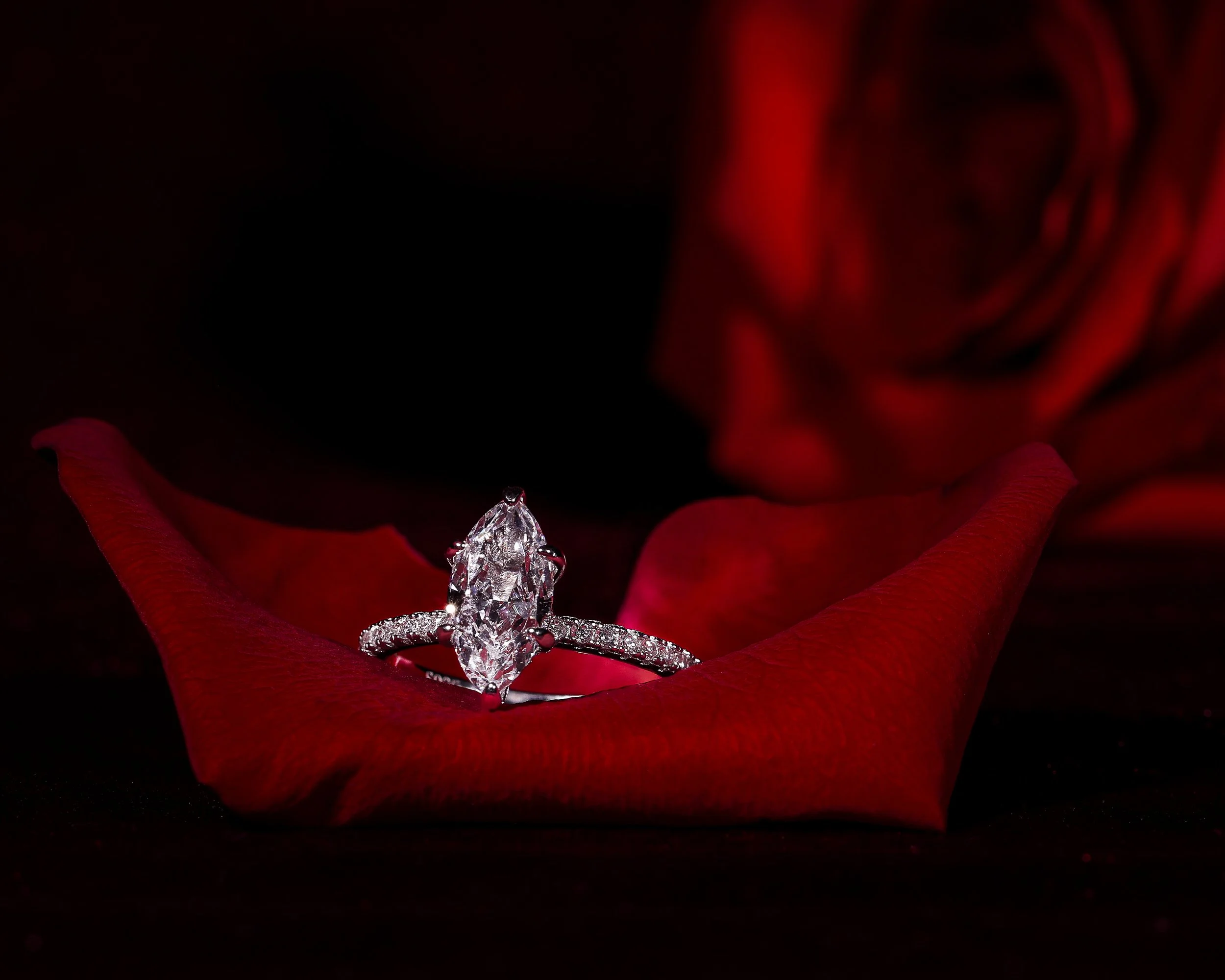 JG2A9060-Edit-3.jpg