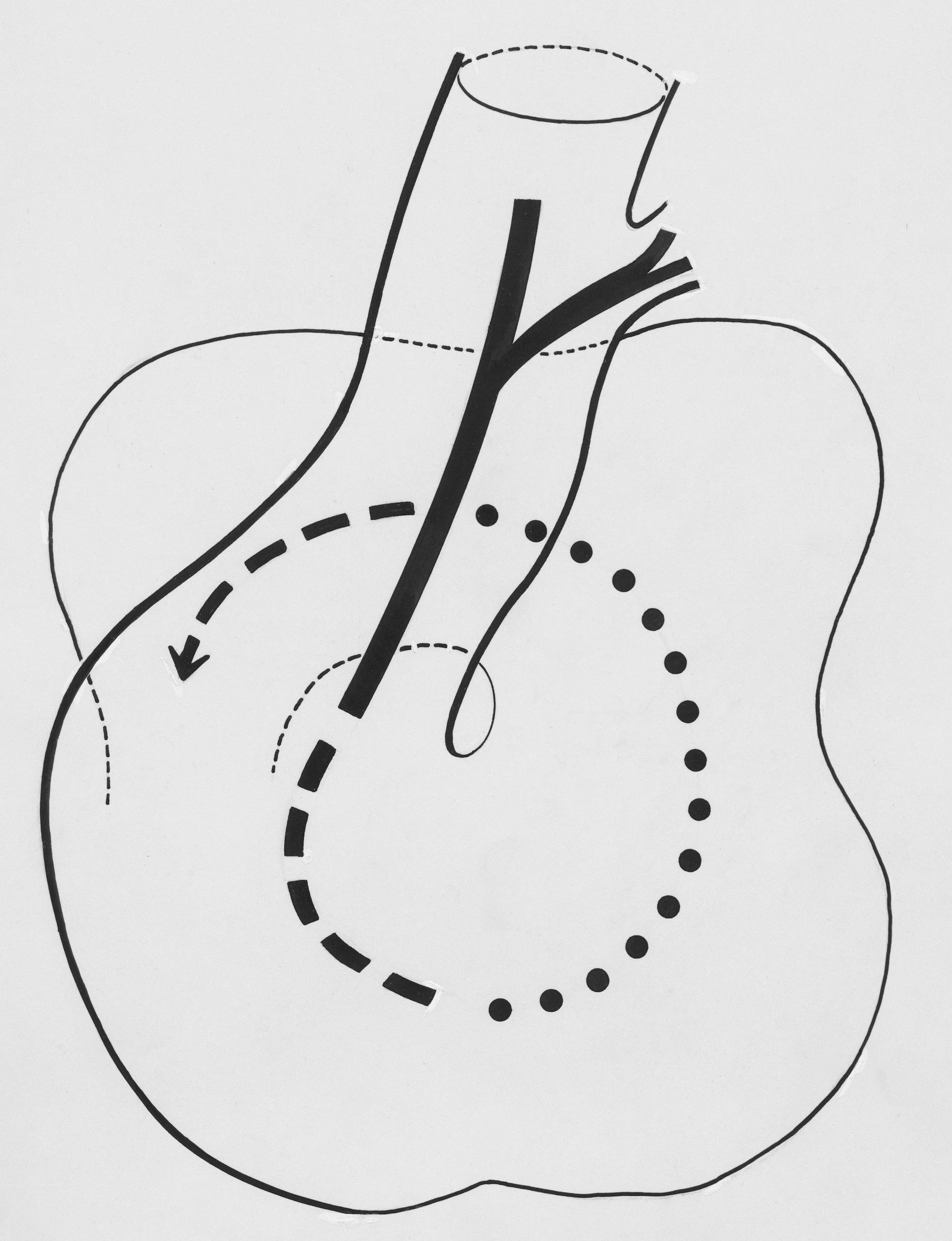 The Life-Changing Benefits of Increased Circulation