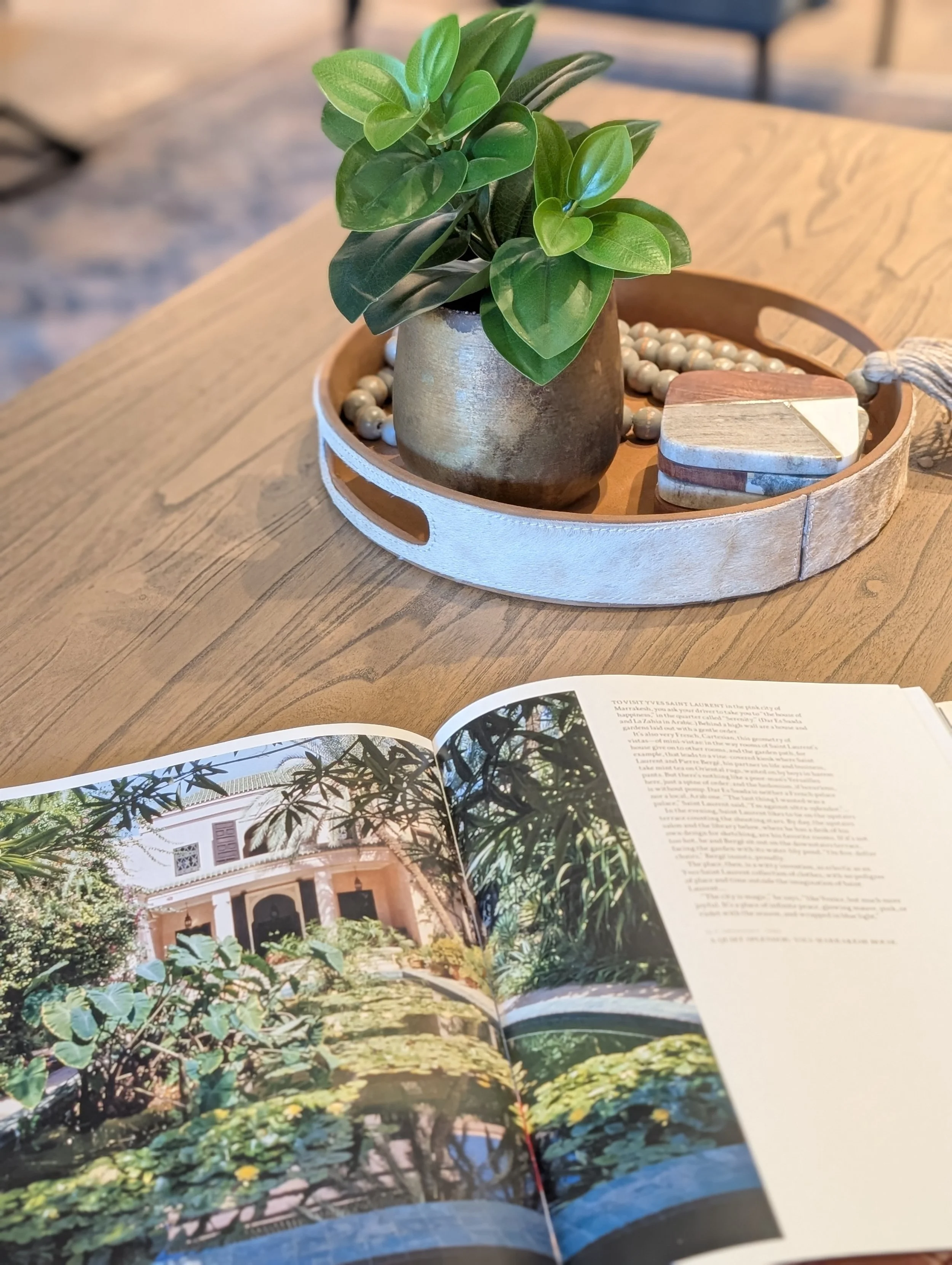 landmark-interiors-coffee-table-styling-books-plant.jpg
