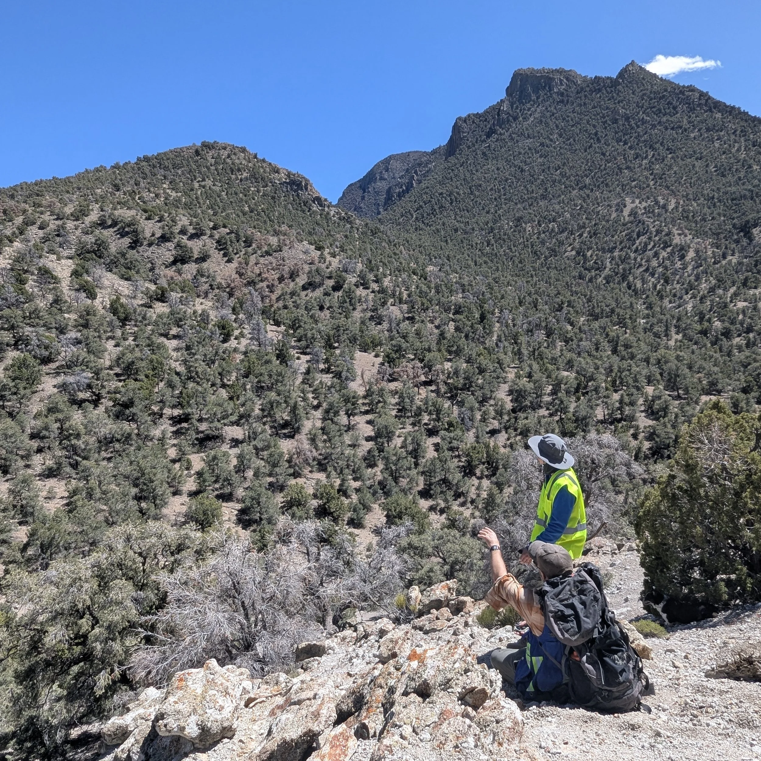 Excalibur Metals Plans Property-Wide Exploration Program at Bellehelen Silver-Gold Project and Announces Director Nominees
