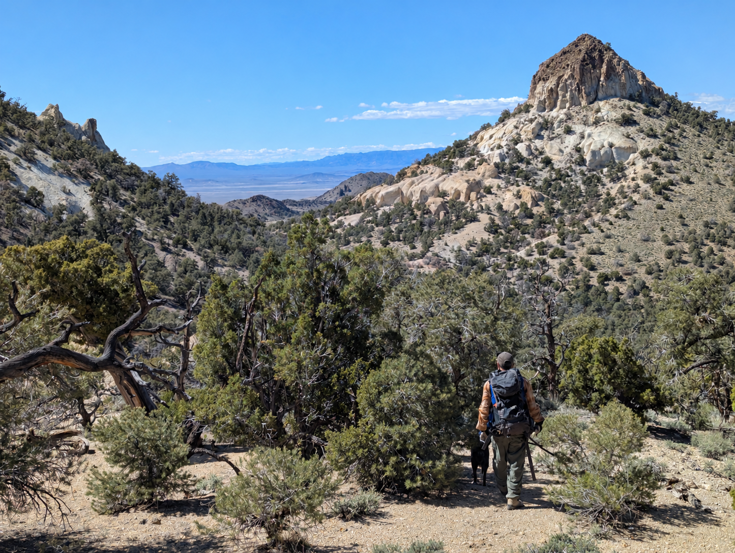 Excalibur Metals Commences Property-Wide Exploration Program at Bellehelen
