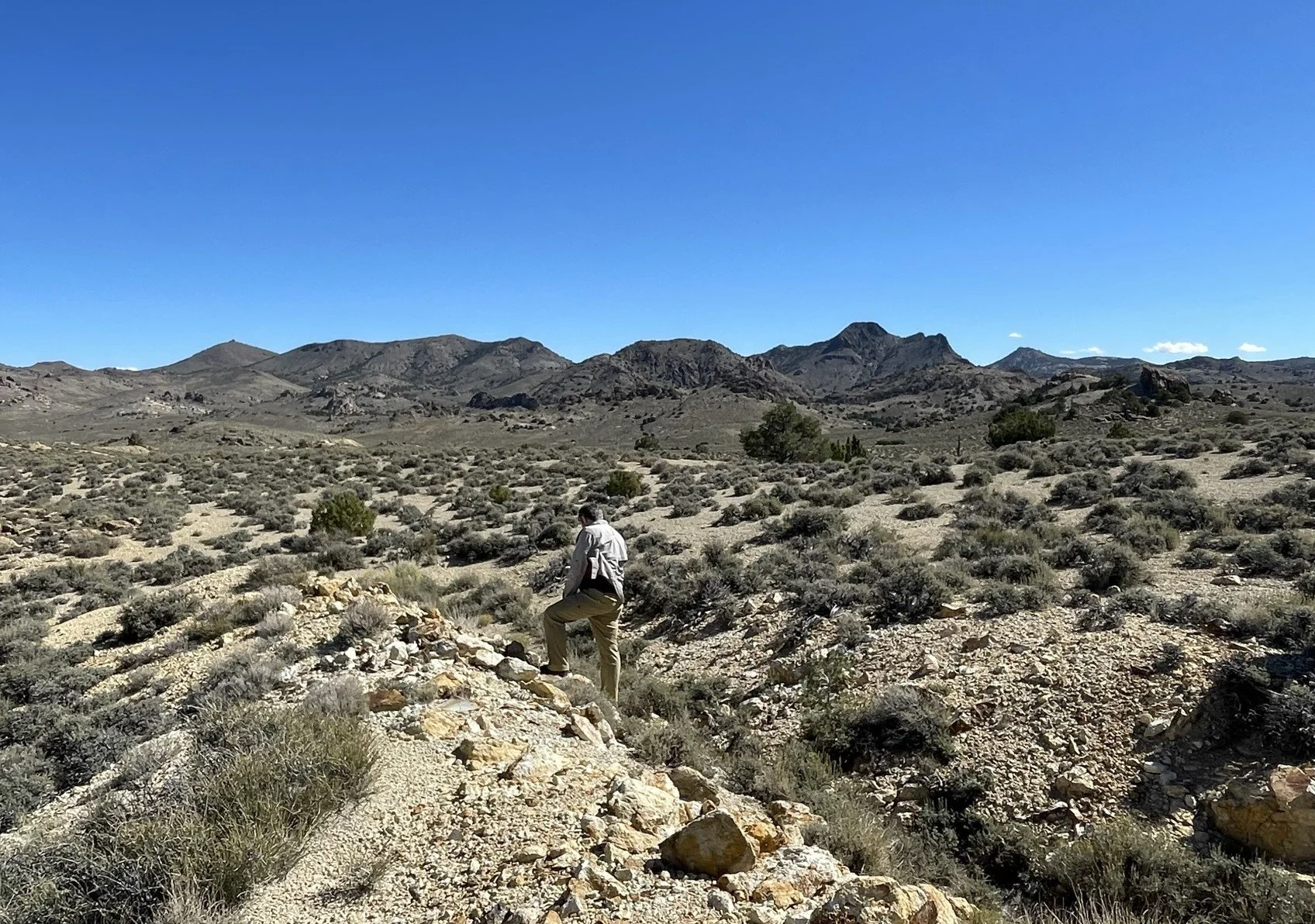 Bellehelen Property (2).JPEG