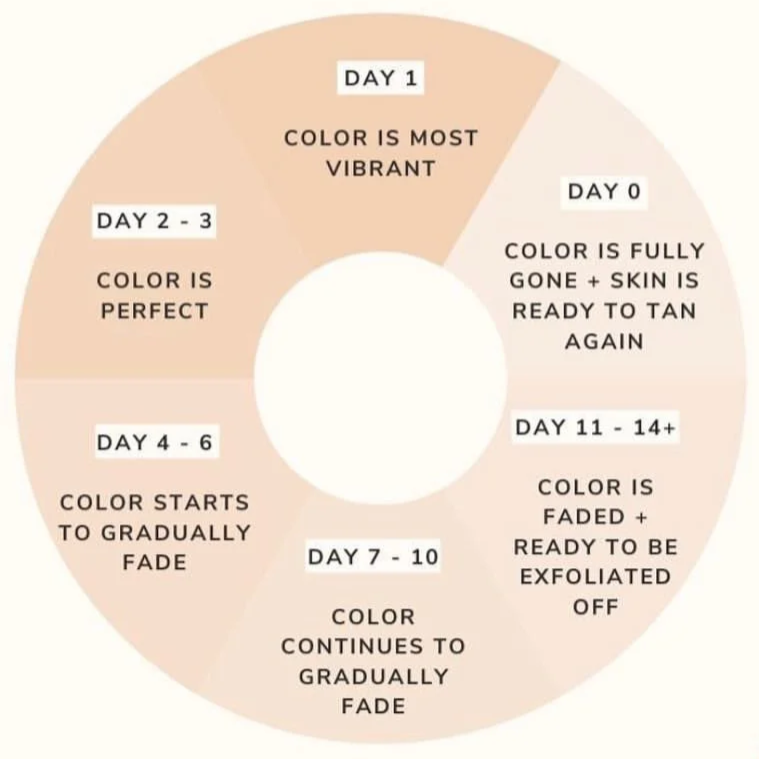 Infographic re life cycle of a Spray Tan from Day 1 to Day 10