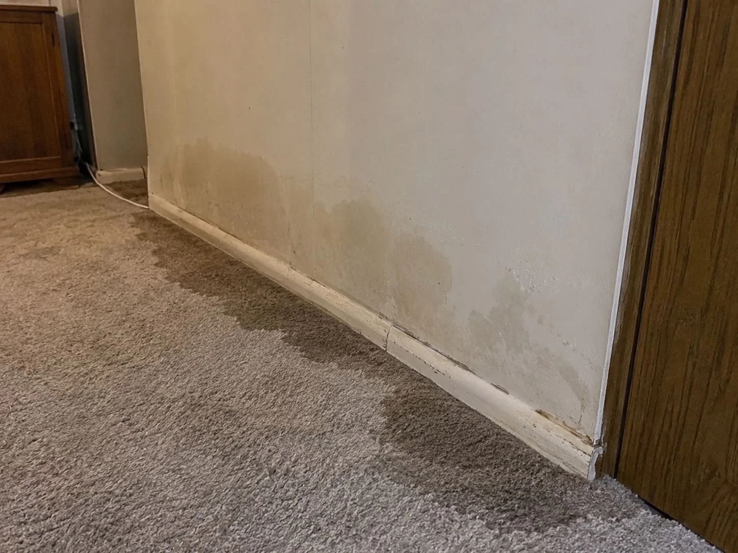Damp drywall and wet carpet along a basement wall in a Shawnee, KS ranch home