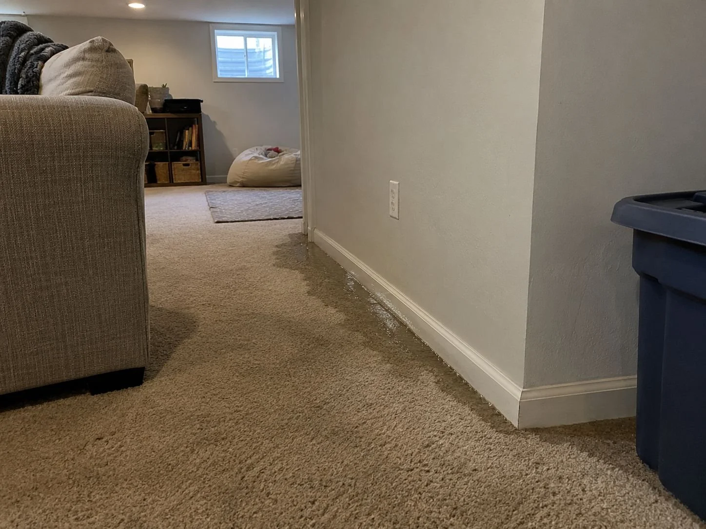 Water in Your Basement After Heavy Rain? What Johnson County Homeowners Should Do Now