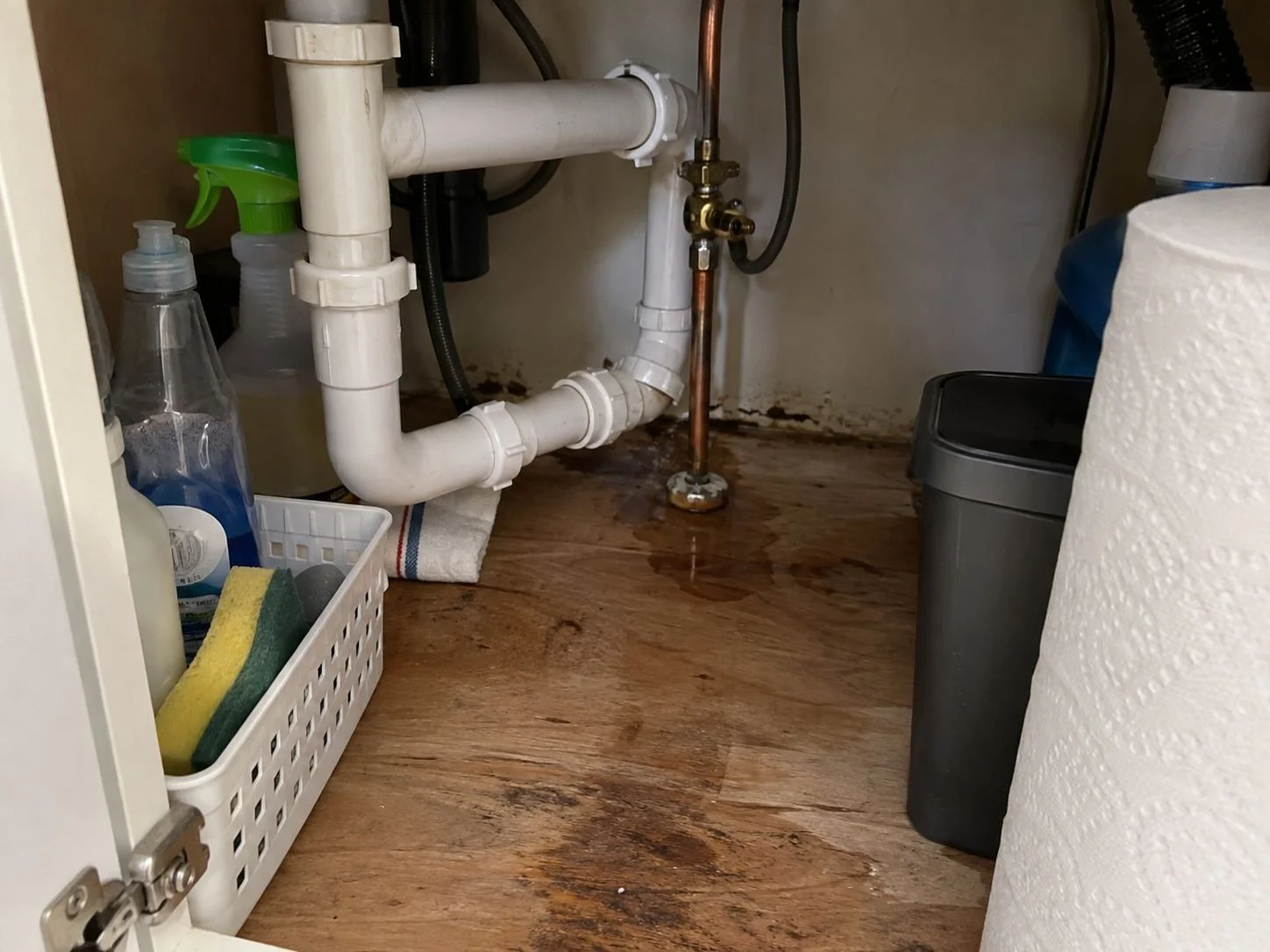 Slow drip from a supply line under a kitchen sink in an Overland Park, KS home
