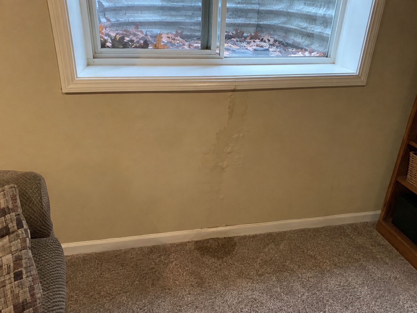 Damp water stain on basement drywall below a window well window, with a wet carpet patch and wet leaves in the well, in a Shawnee KS home