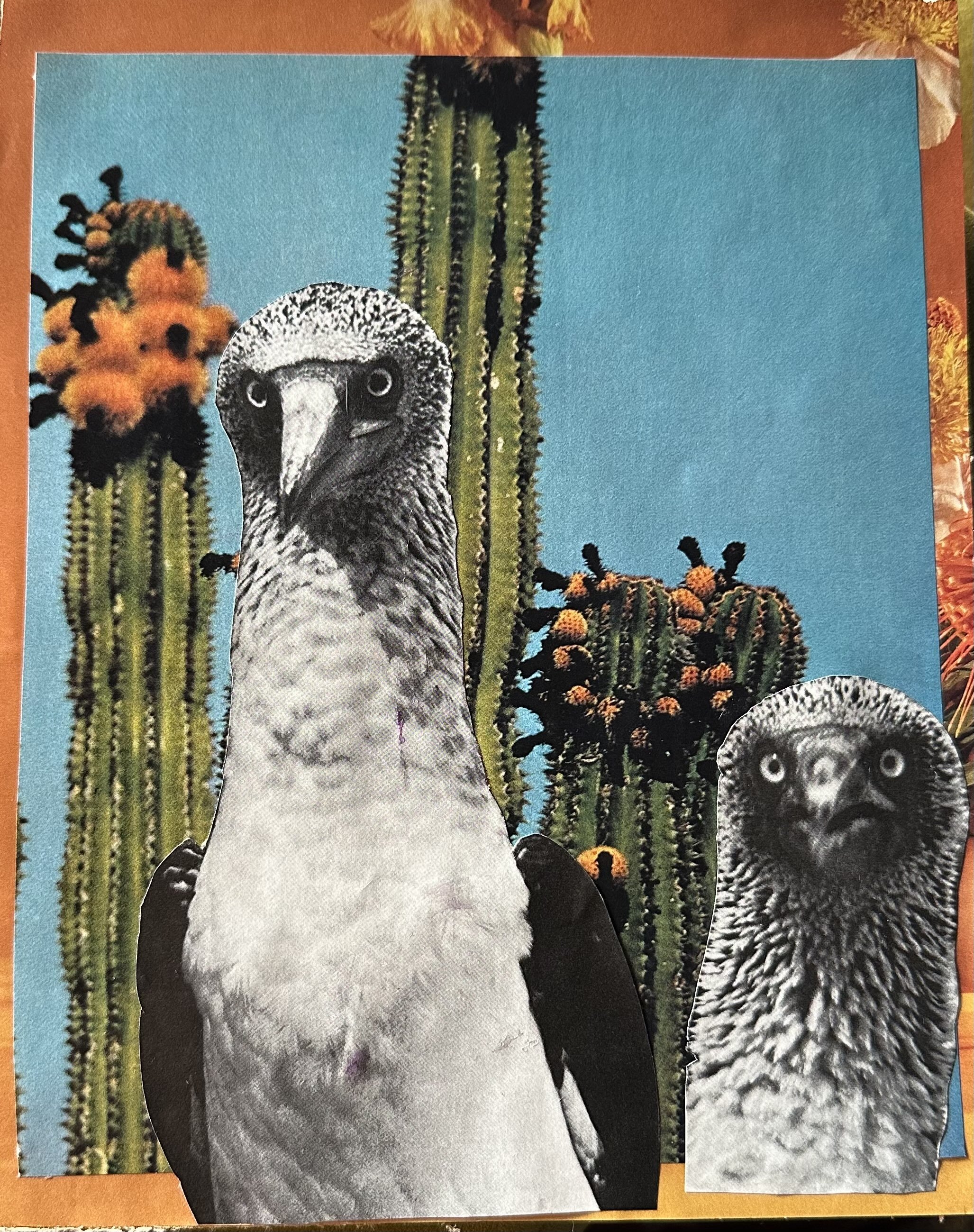 Birds of a Feather.jpg