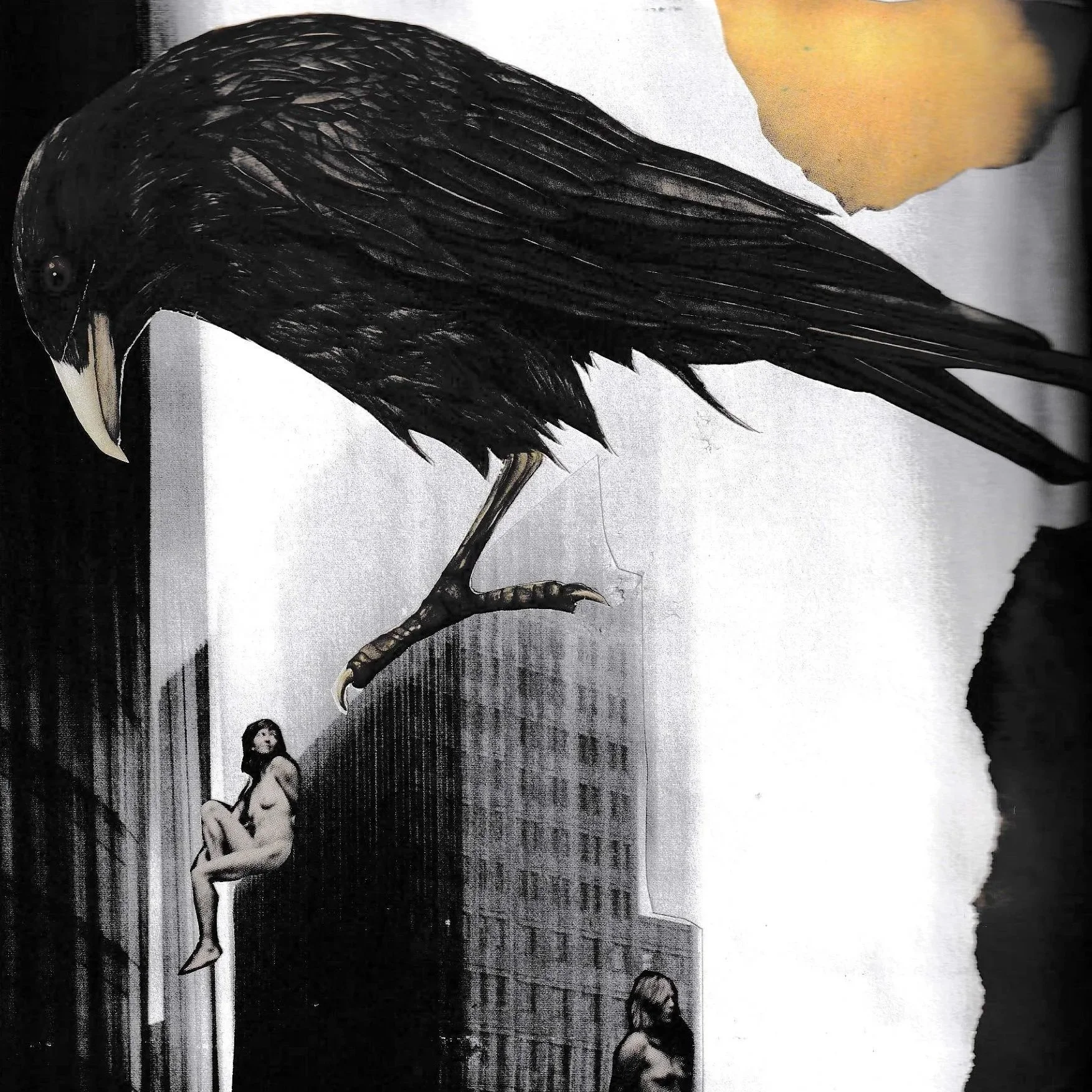 crow and women on building collage