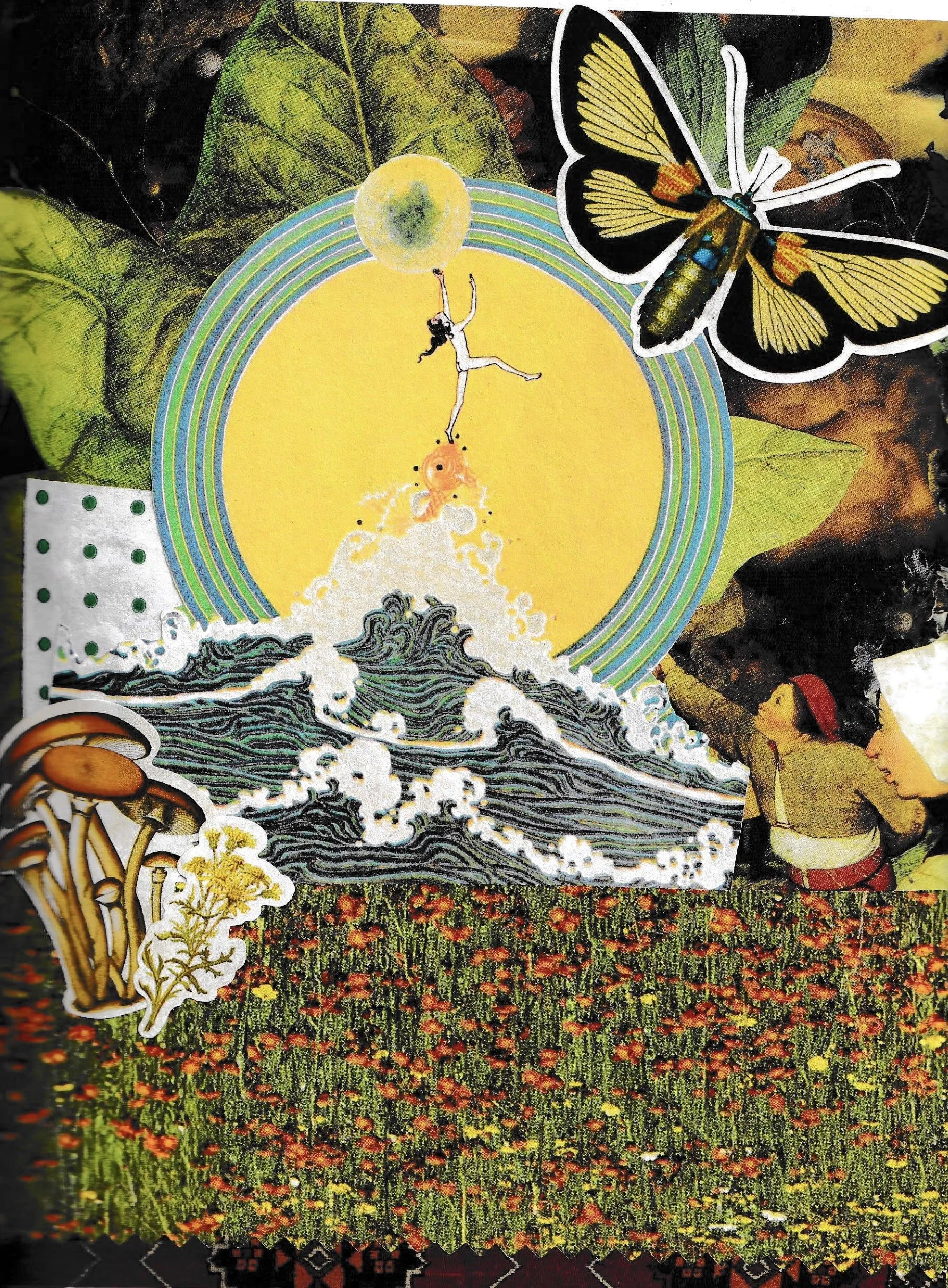 collage with mushrooms moth water flowers and people