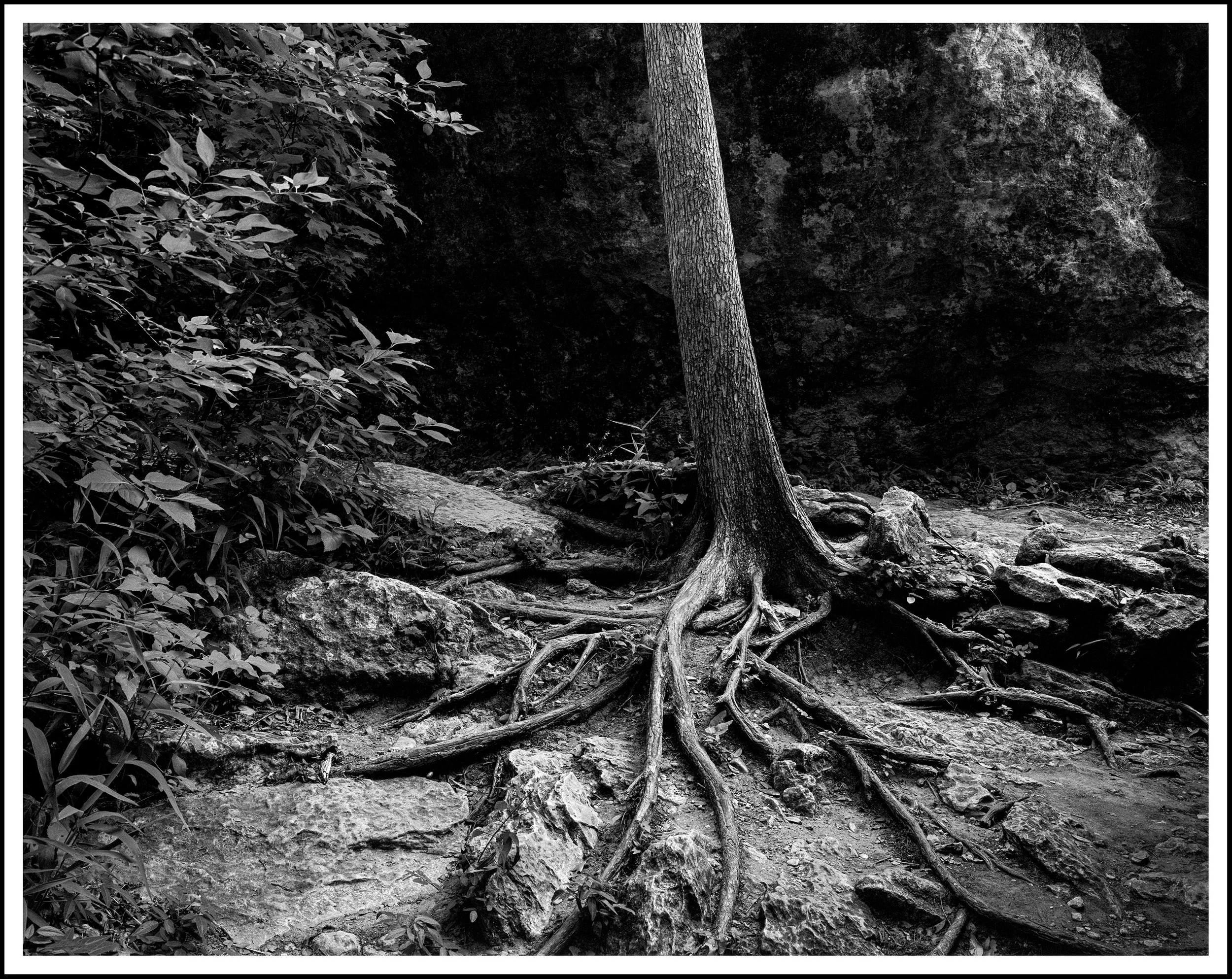 5-17-2025 McKinney Tri-X (5)-Edit-Edit.jpg