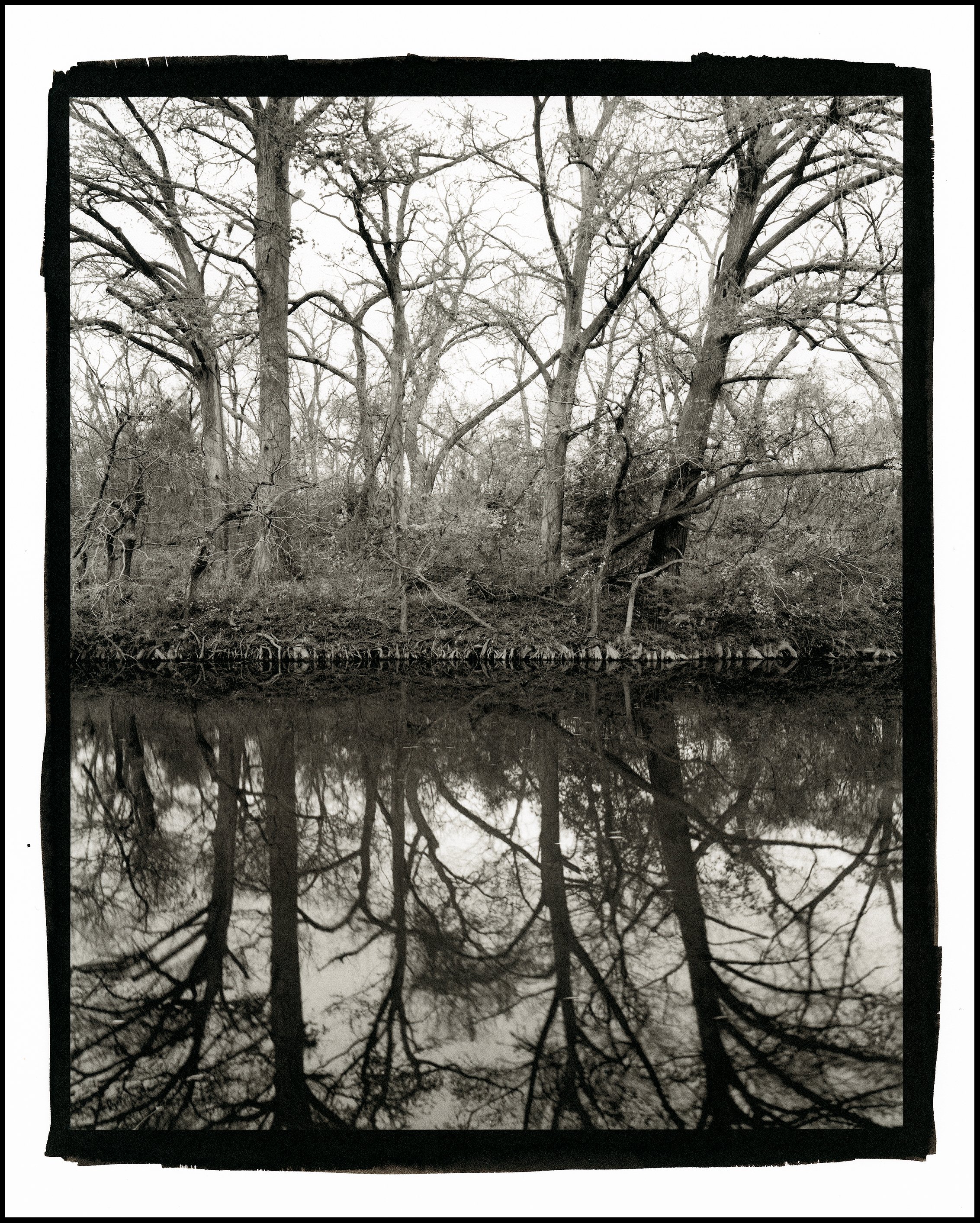 4 McKinney Reflection BORDER.jpg