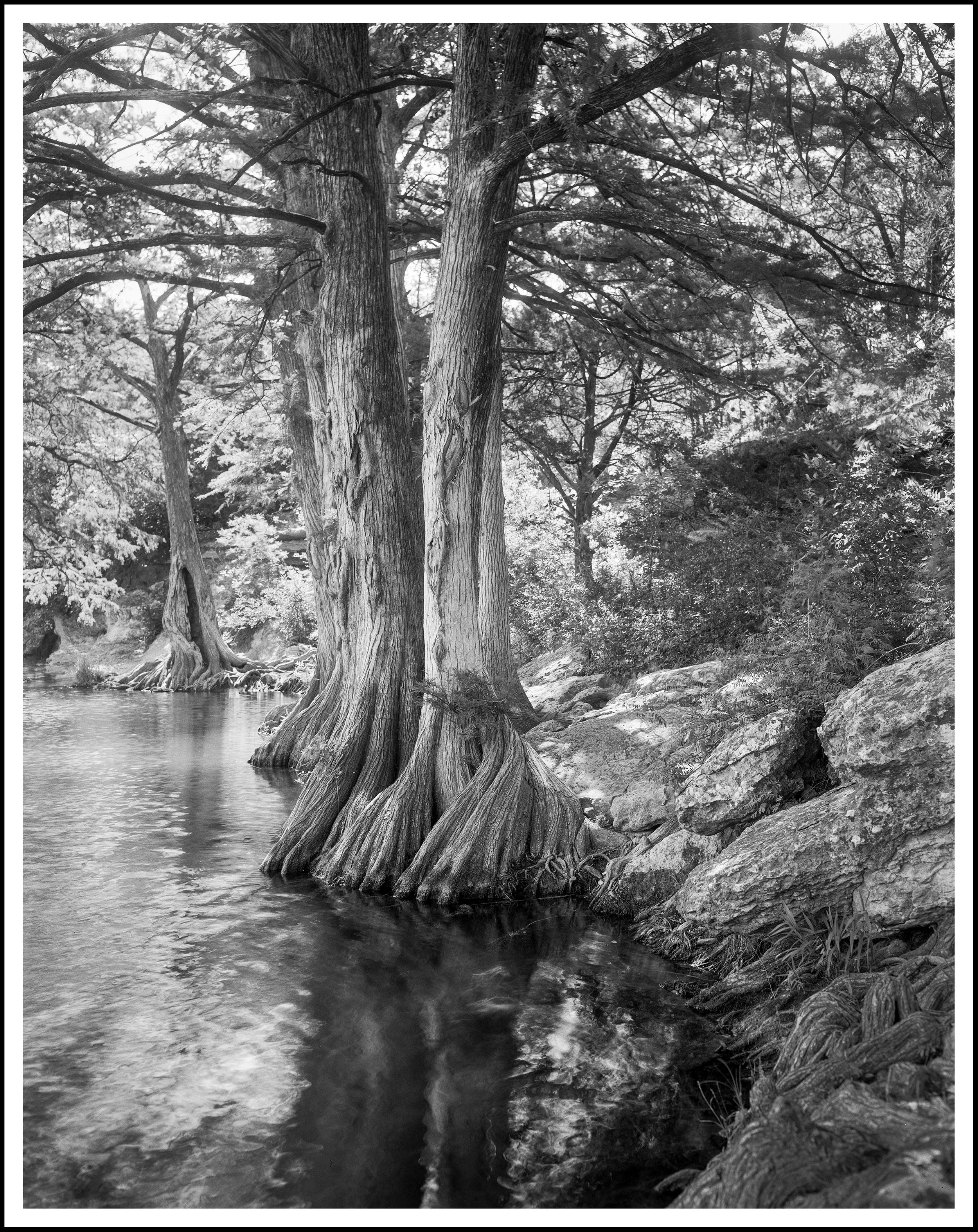 5-3-2025 McKinney Falls -Edit-2 copy.jpg