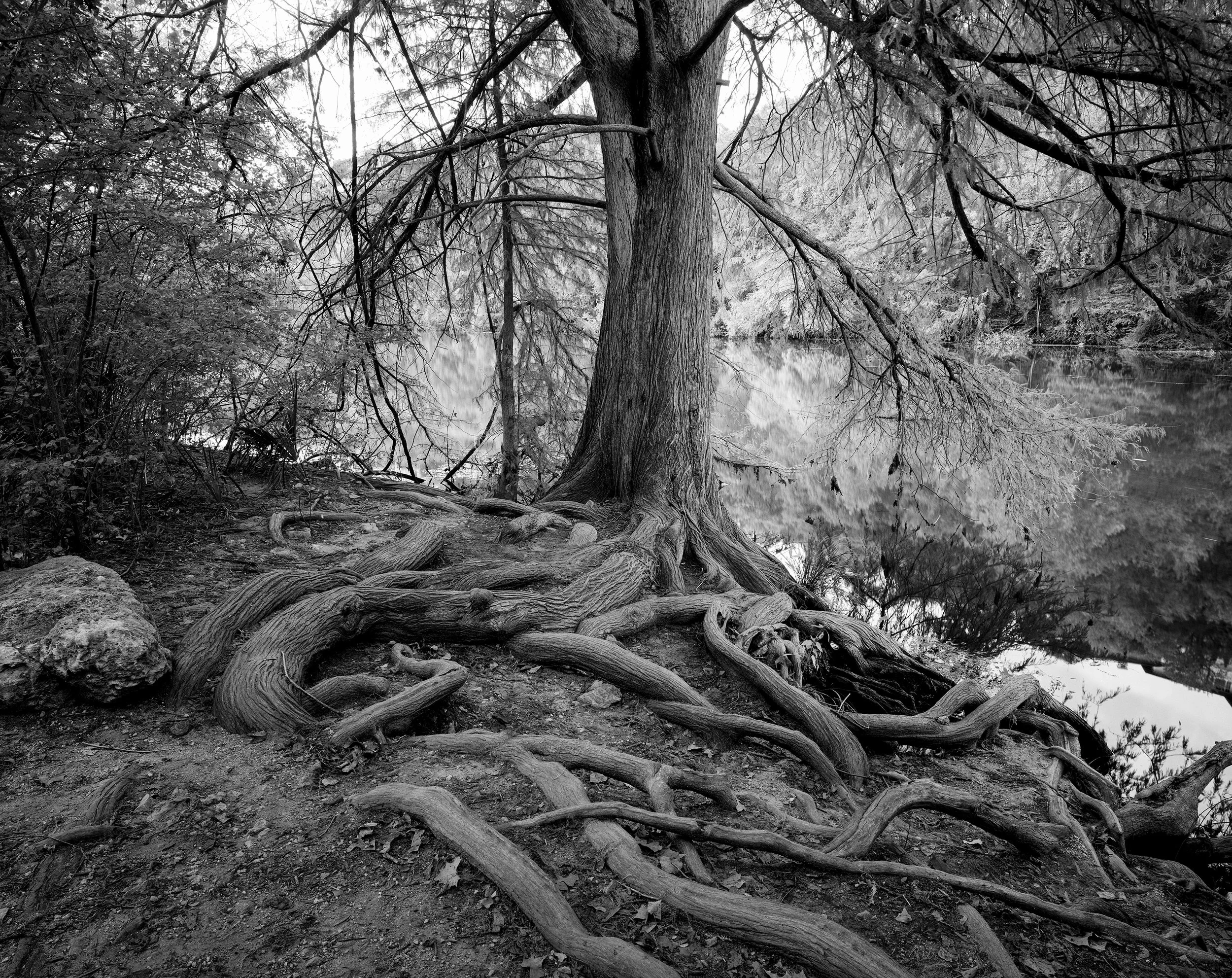 Image 5 rescan-Edit.jpg