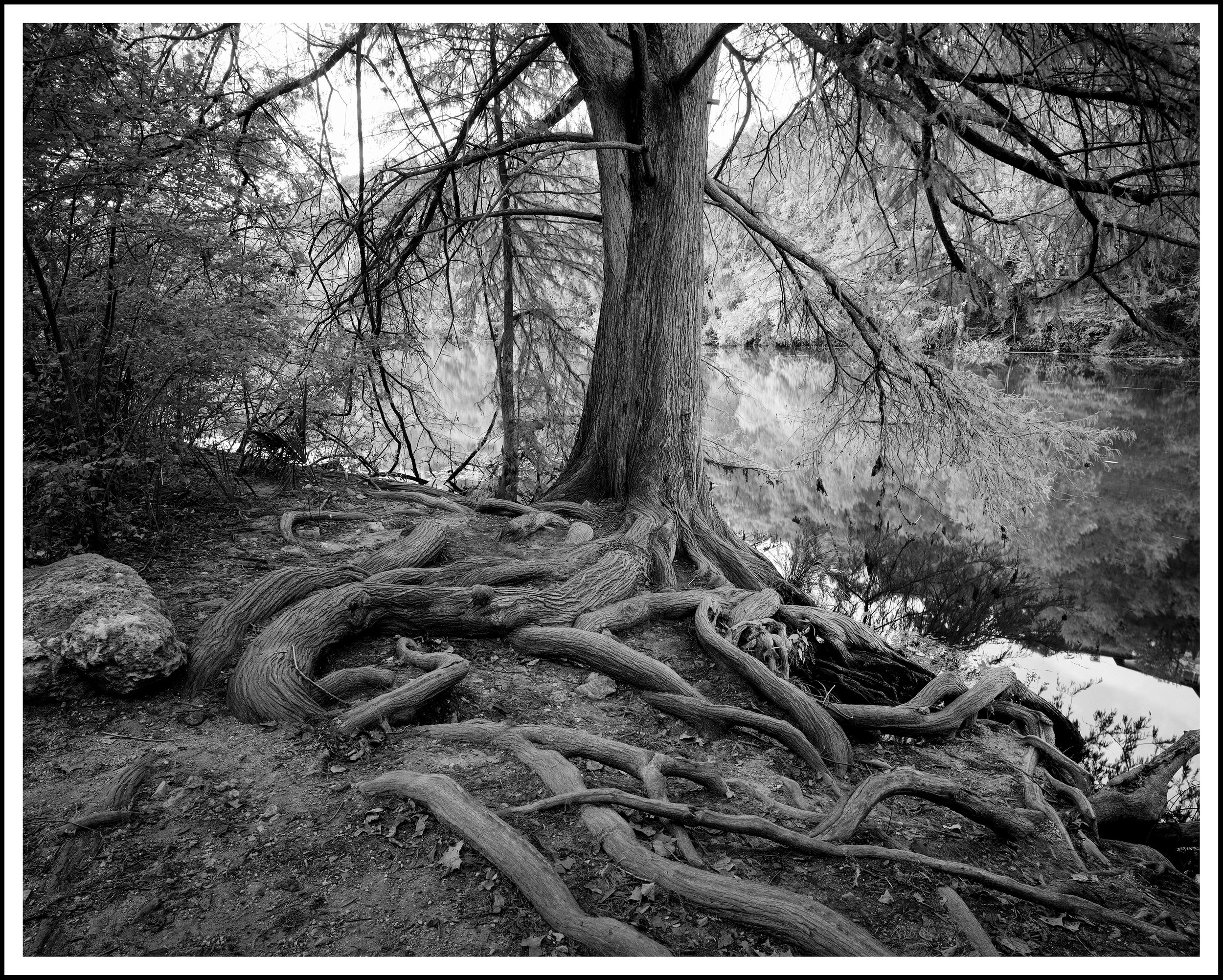 Image 5 rescan-Edit.jpg