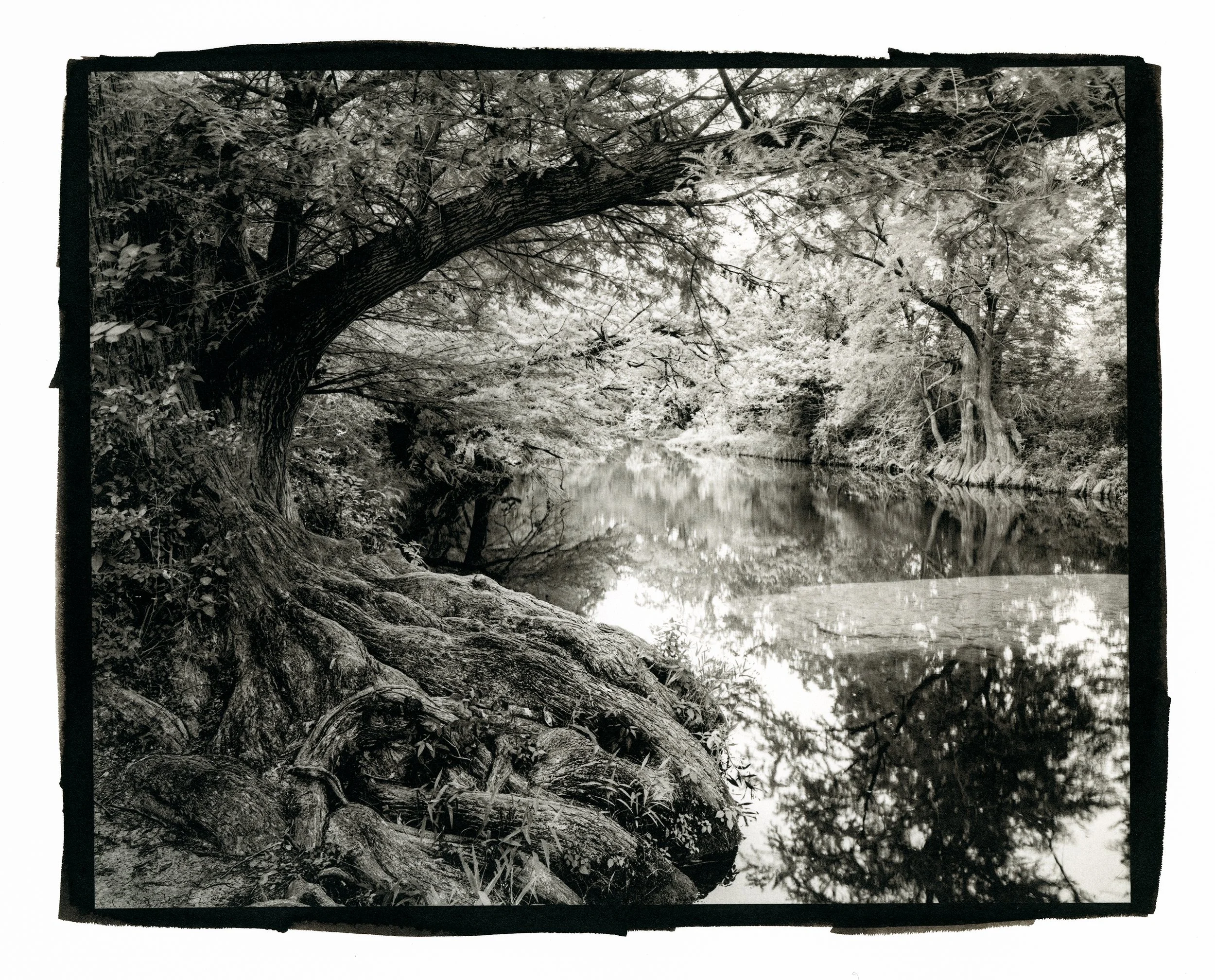 McKinney Platinum Palladium A.jpg