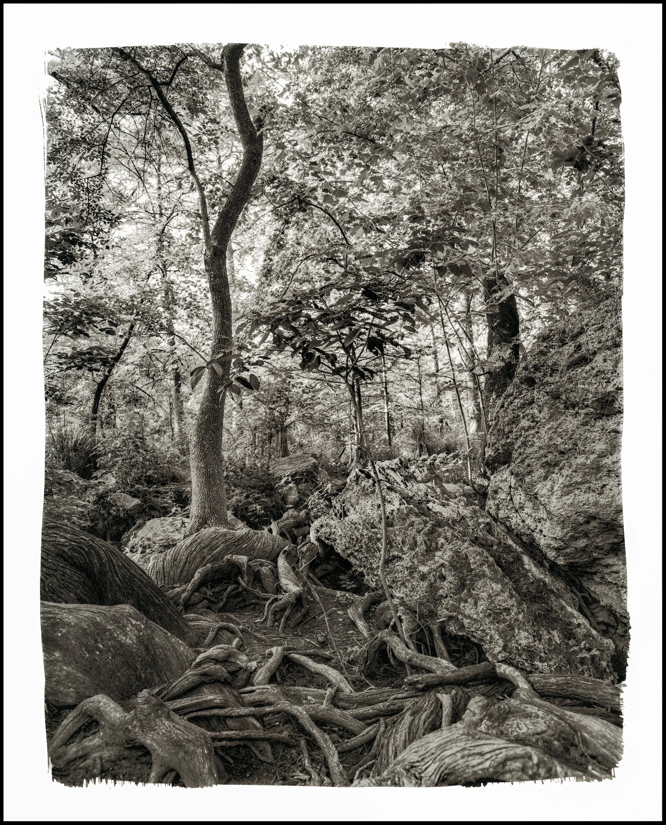 2 Calm : Chaos BORDER.jpg