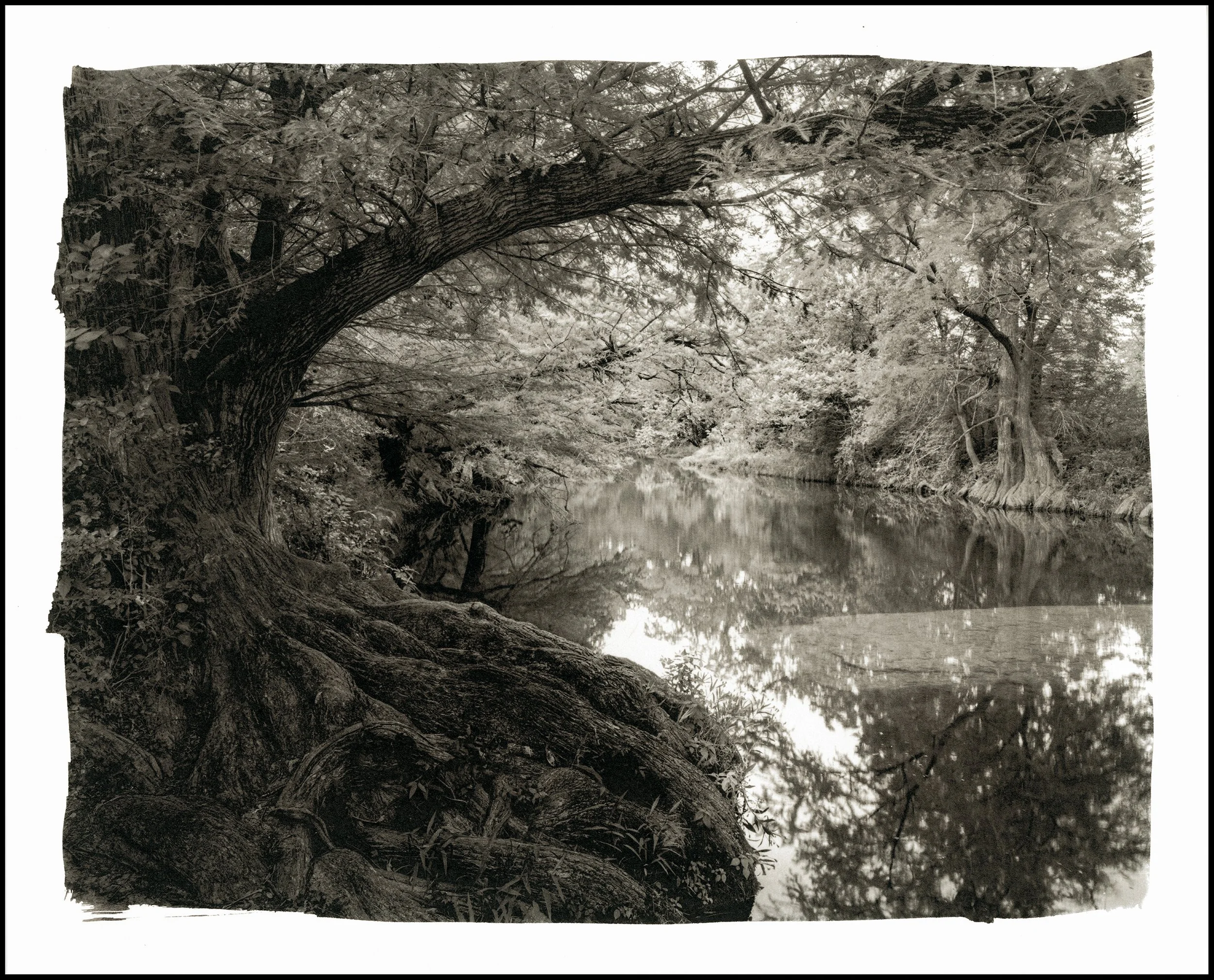 5 Onion Creek BORDER.jpg