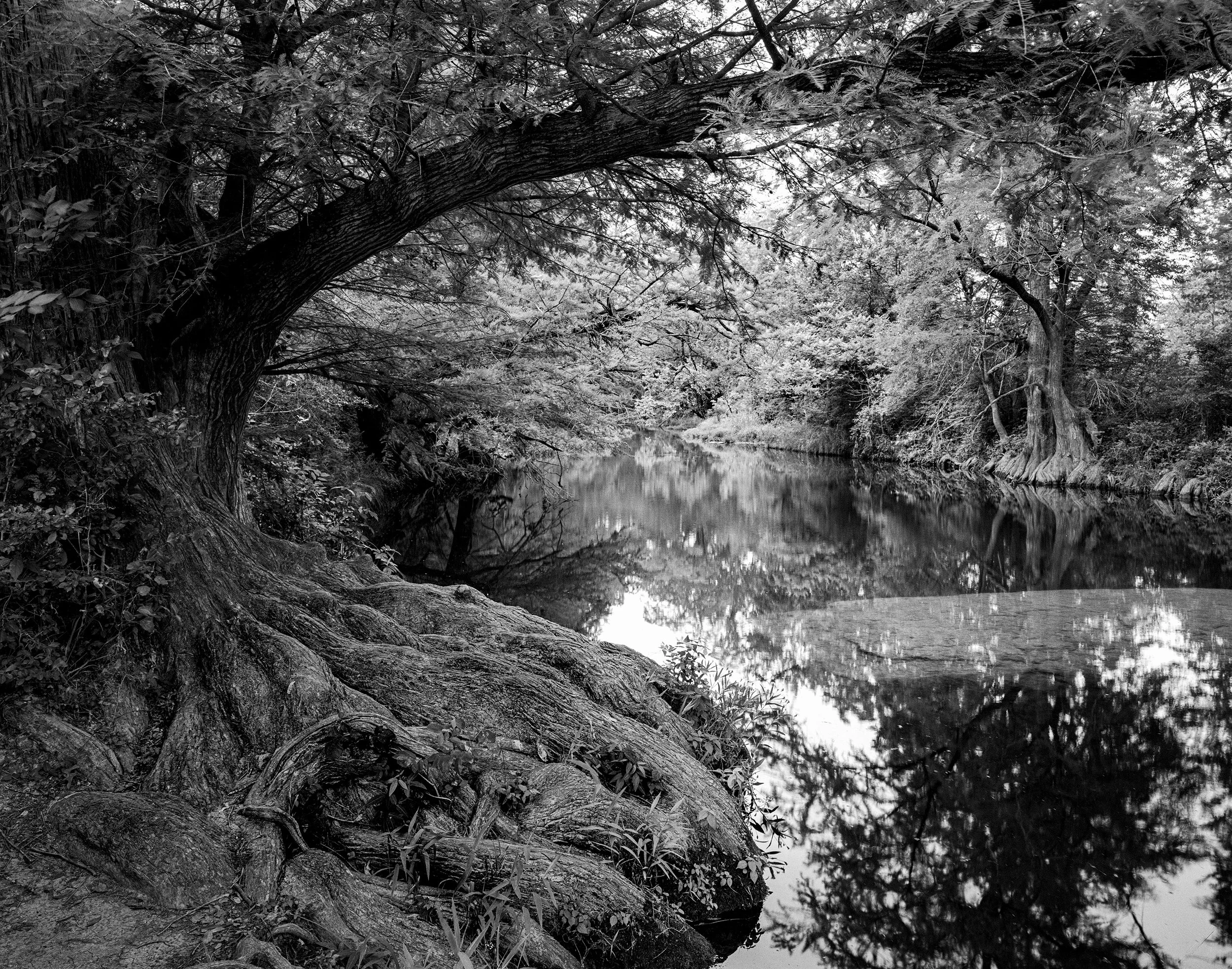 5-17-2025 McKinney Tri-X (3)-Edit-Edit.jpg