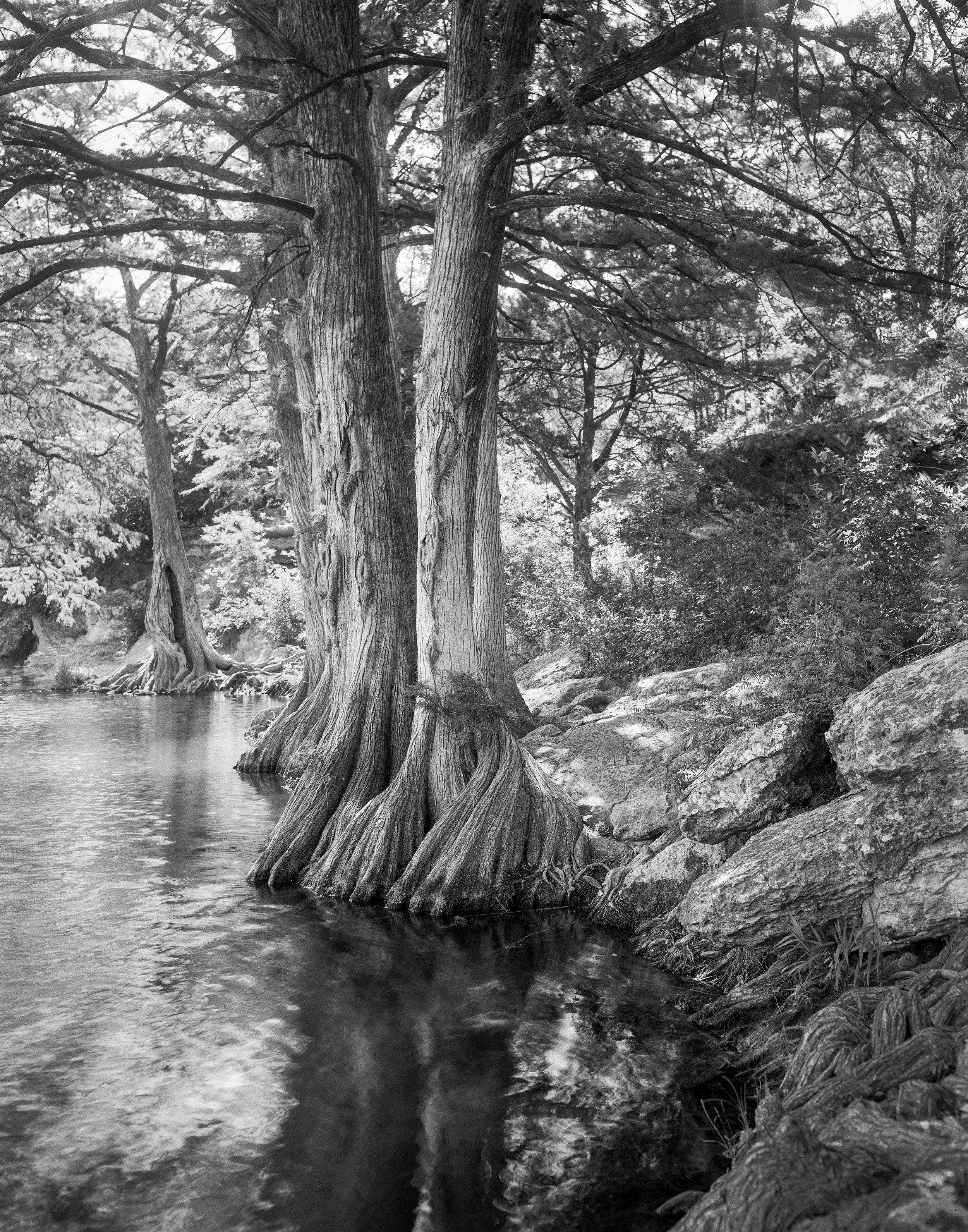5-3-2025 McKinney Falls -Edit-2 copy.jpg