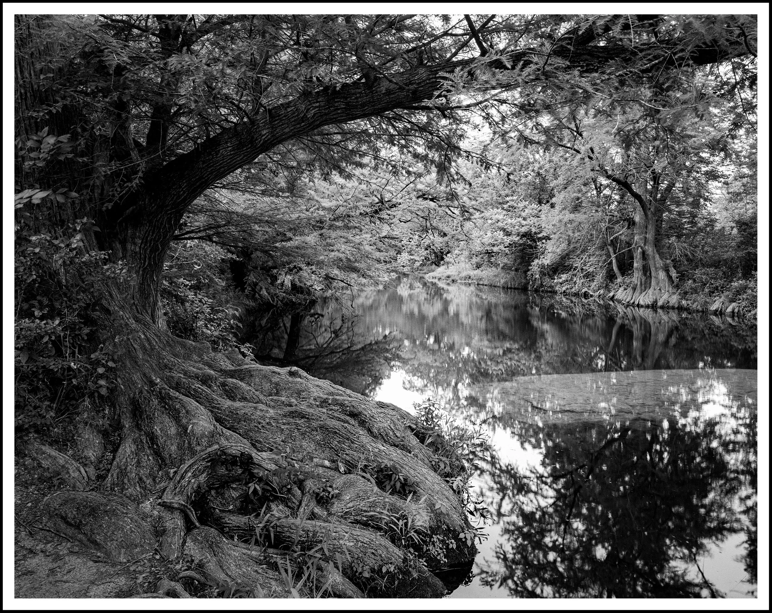 5-17-2025 McKinney Tri-X (3)-Edit-Edit.jpg