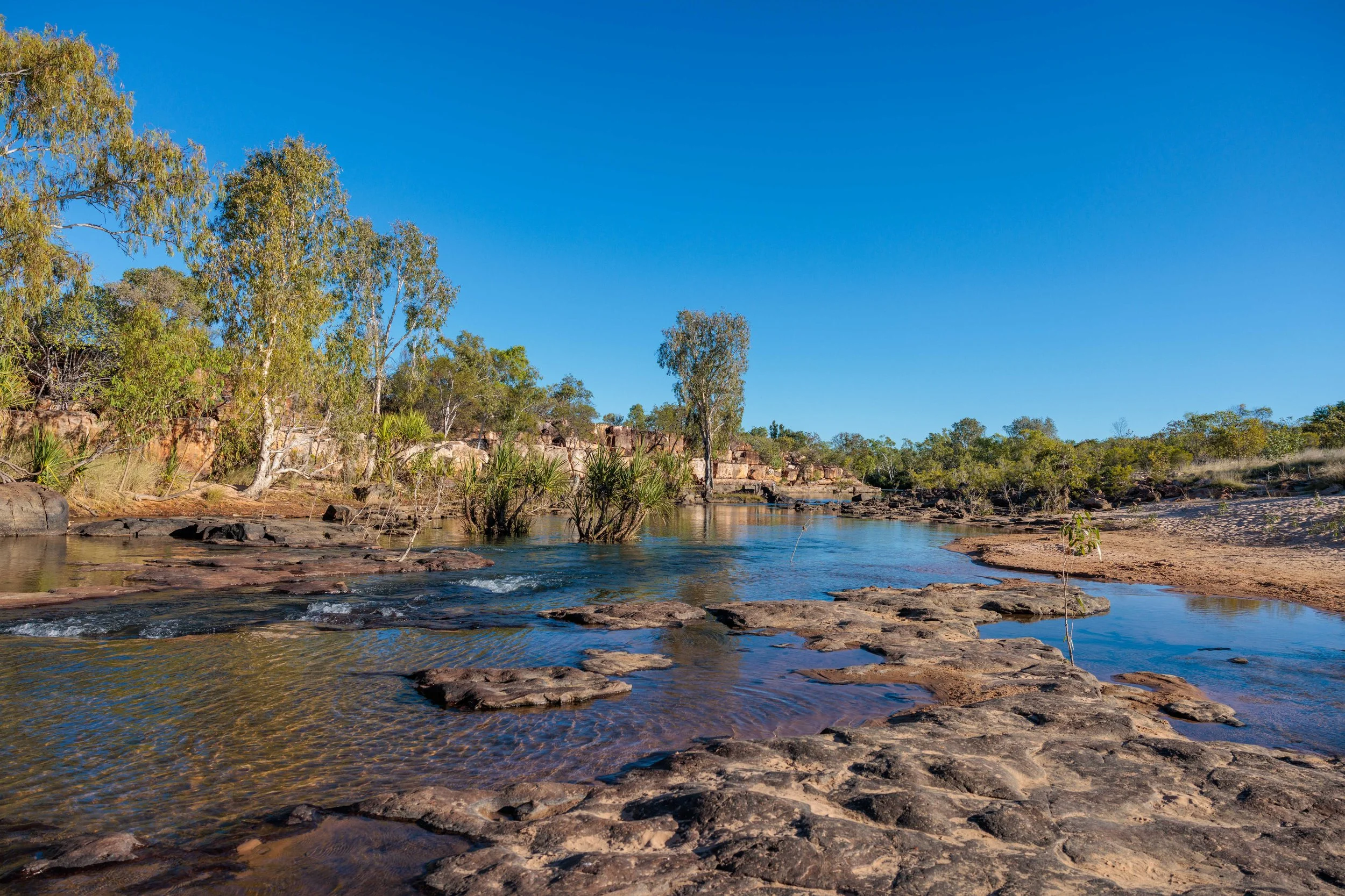 A river flowing over rocky terrain surrounded by green trees and shrubs under a clear blue sky.