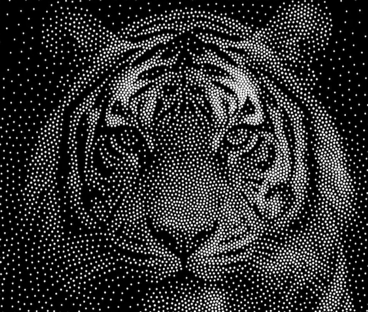 Captura de pantalla 2025-11-20 165752.png