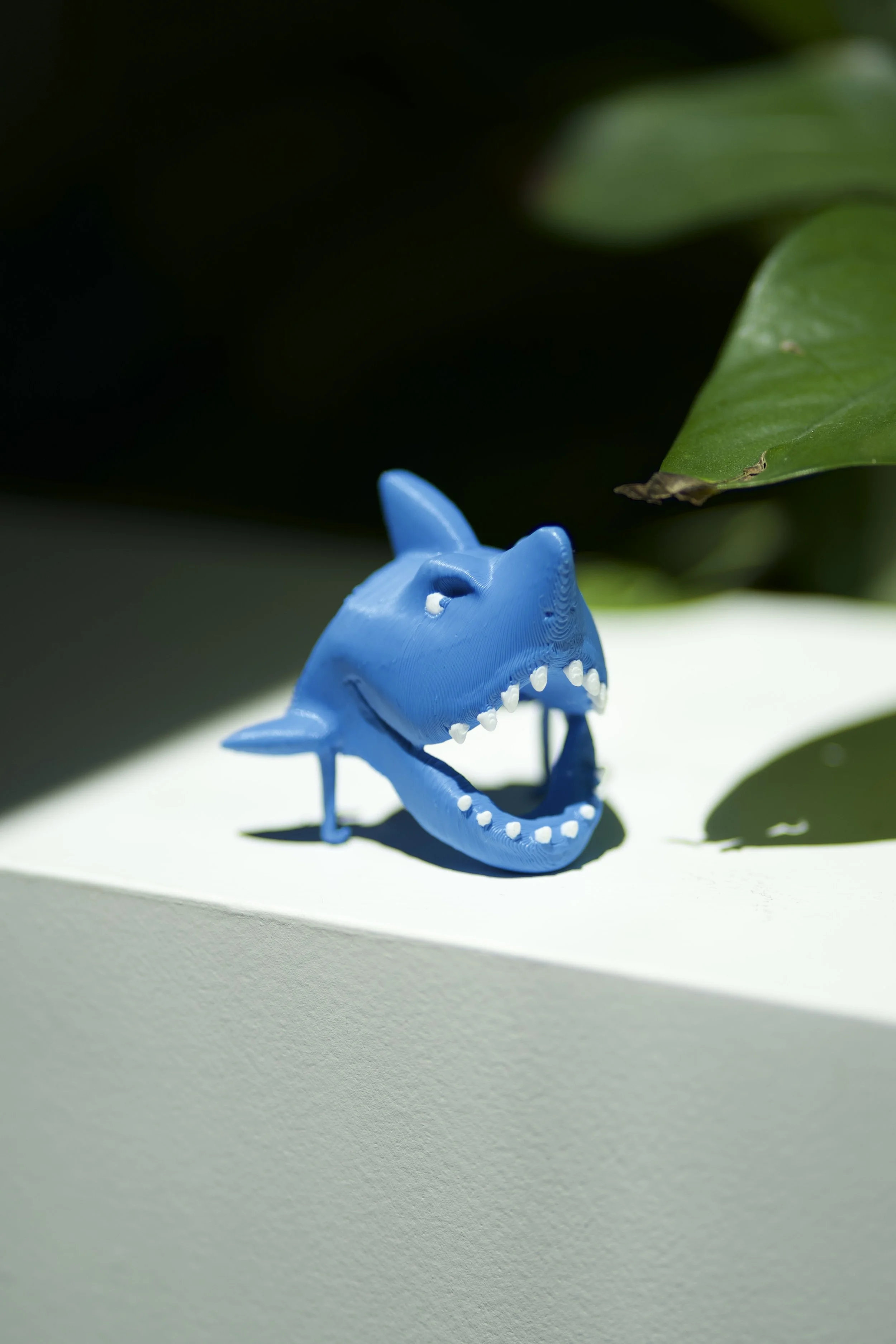 Shark Face - 12 pack