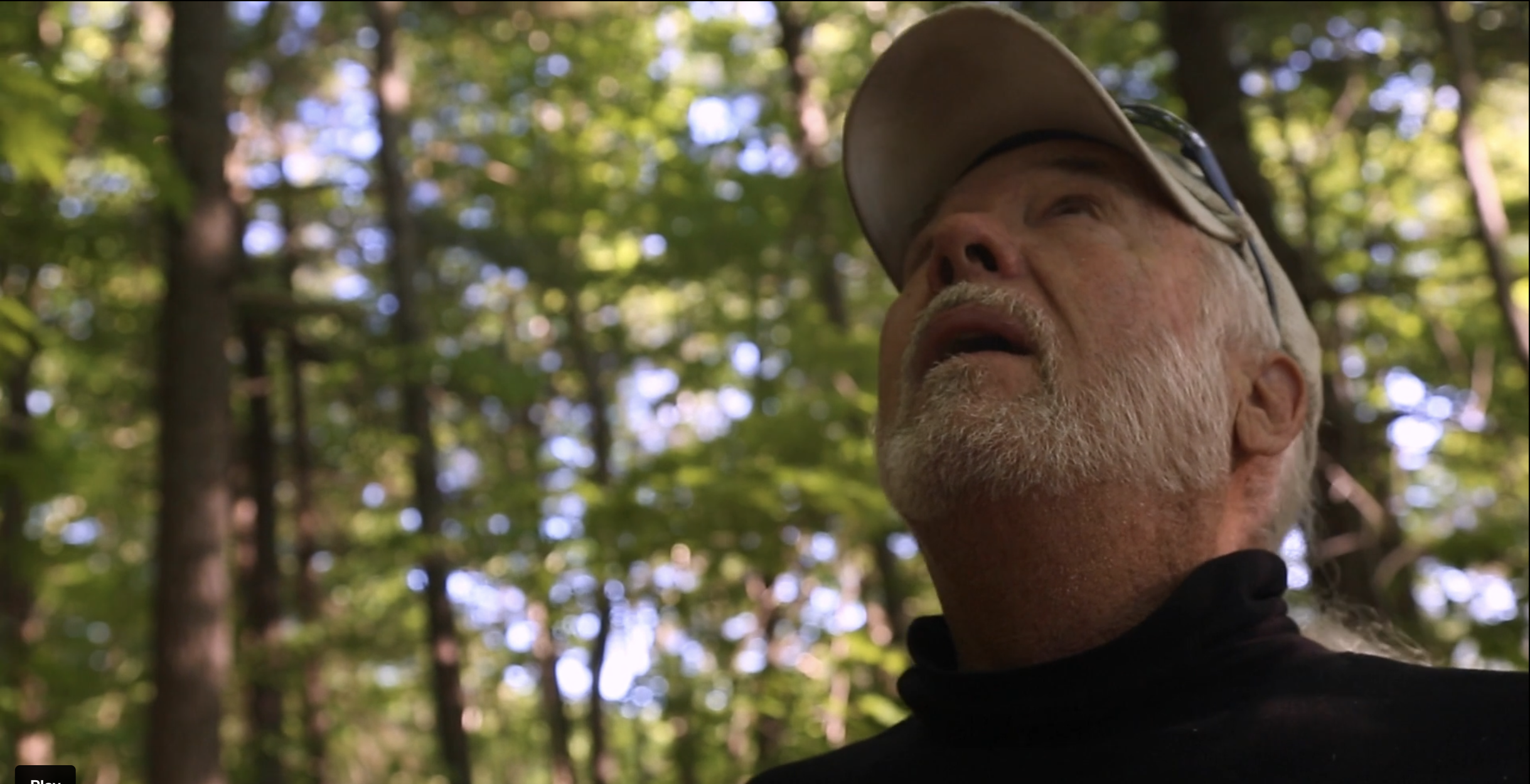 Close-up of an elderly man with a beard and mustache, wearing a baseball cap and black shirt, looking upwards in a forest with green leaves and sunlight filtering through the trees.