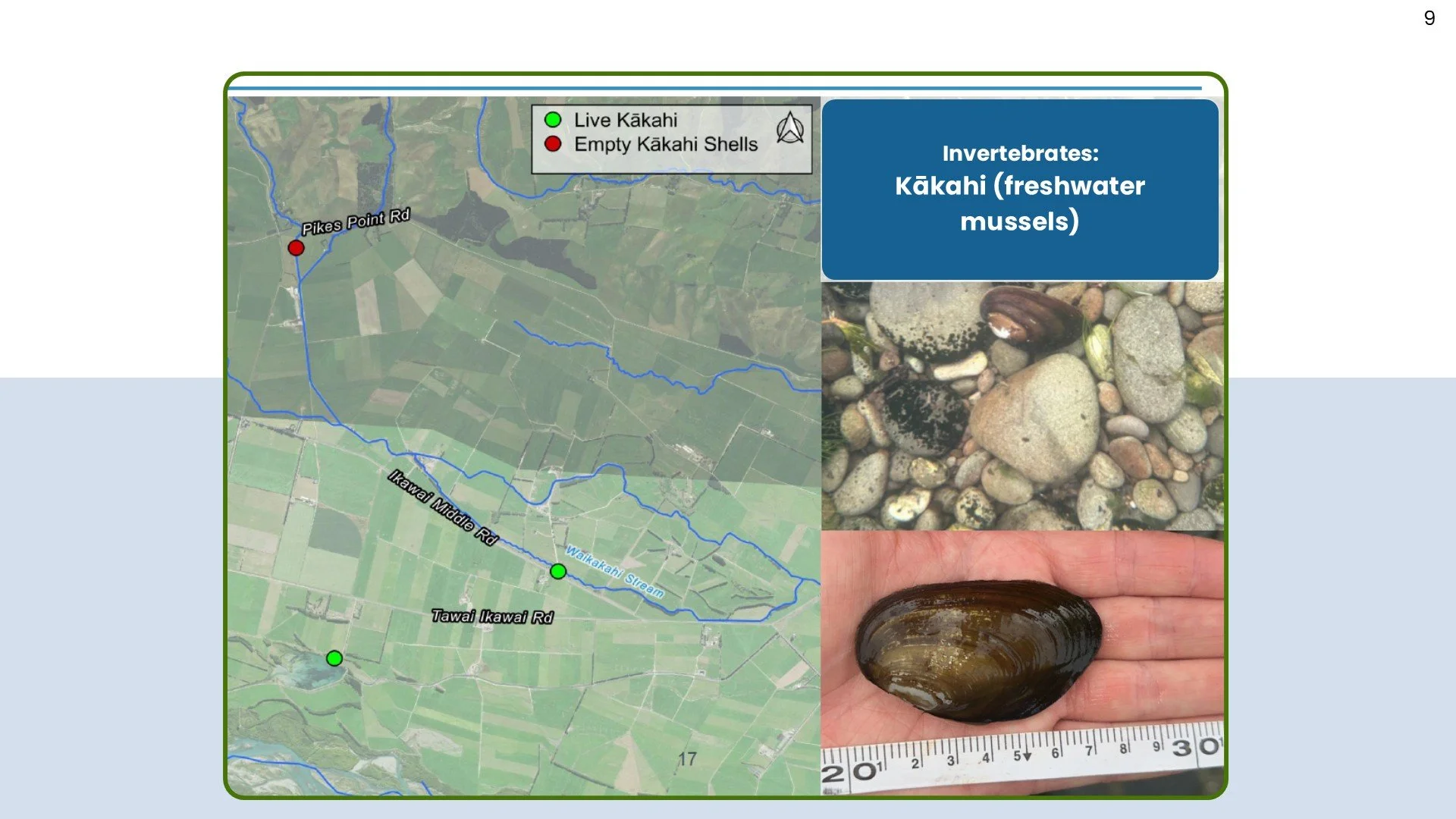 MGI Aquatic Ecology Survey