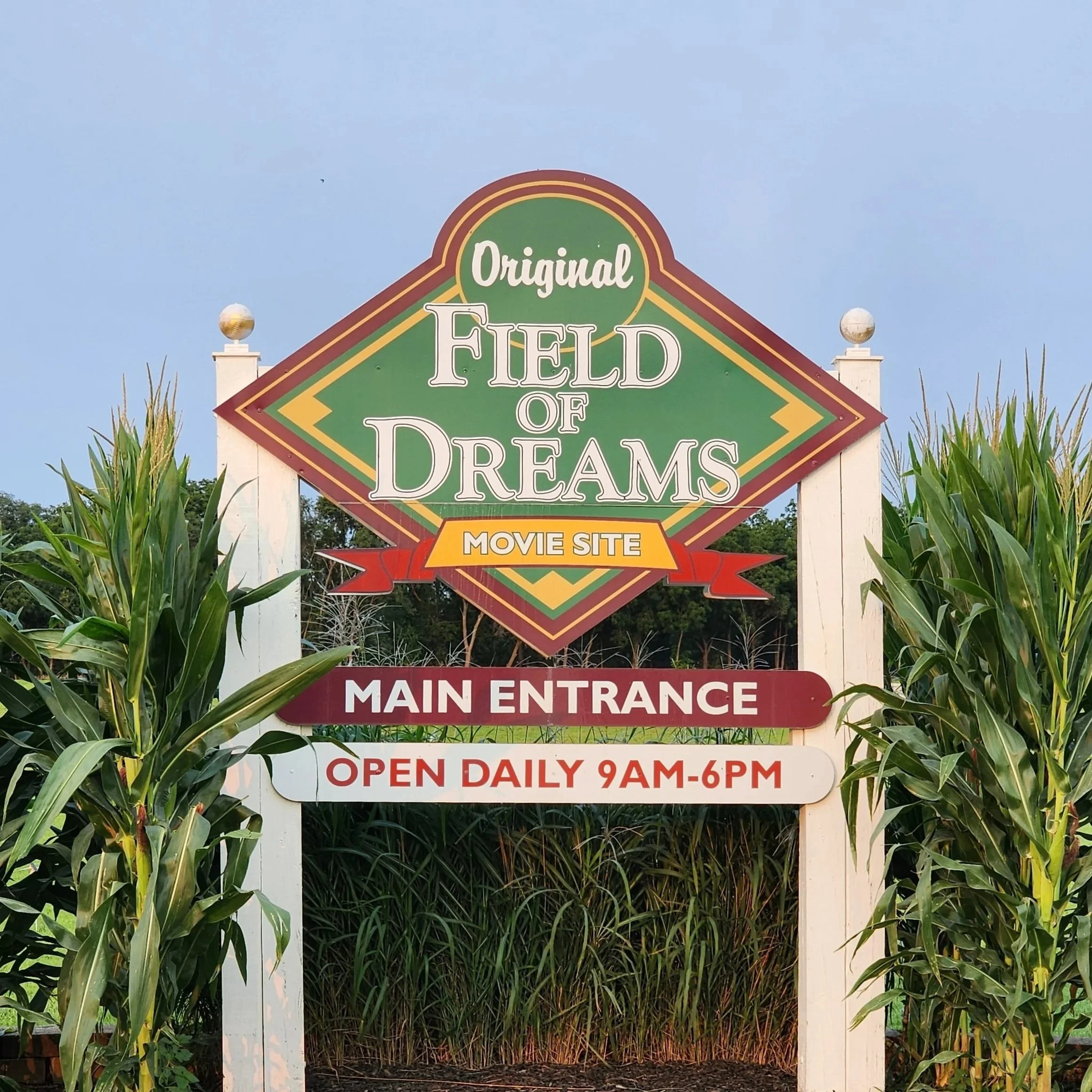 Field of Dreams