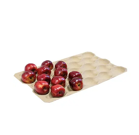 Screen Shot 2026-03-09 at 11.21.33 am.png