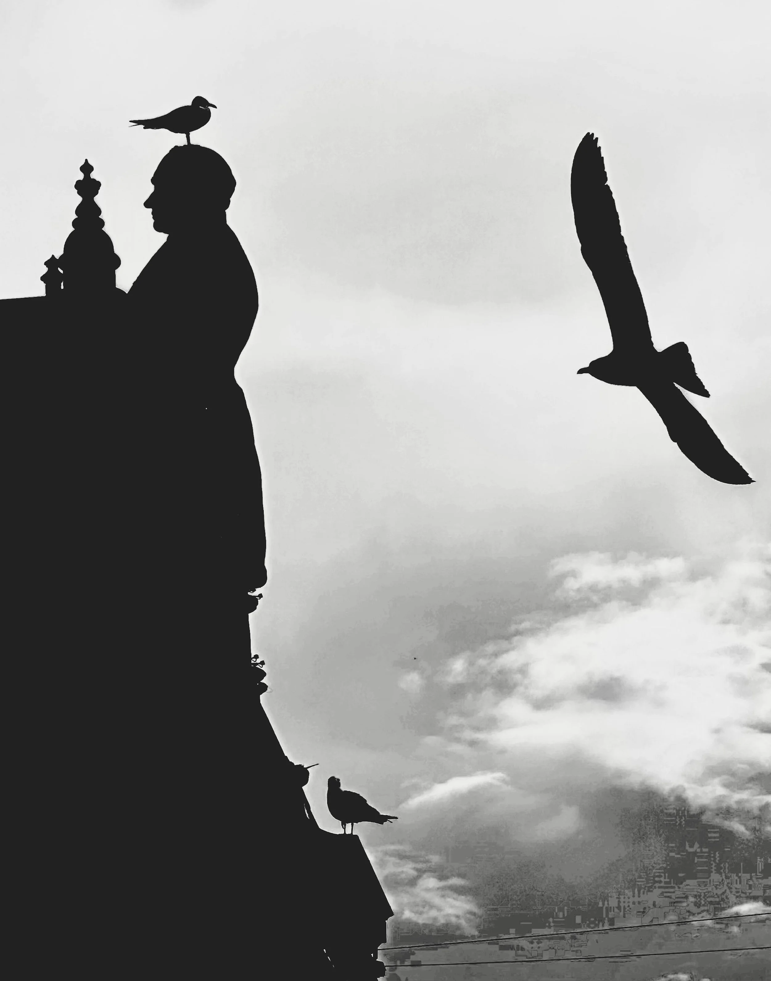 Stillness and FLight
