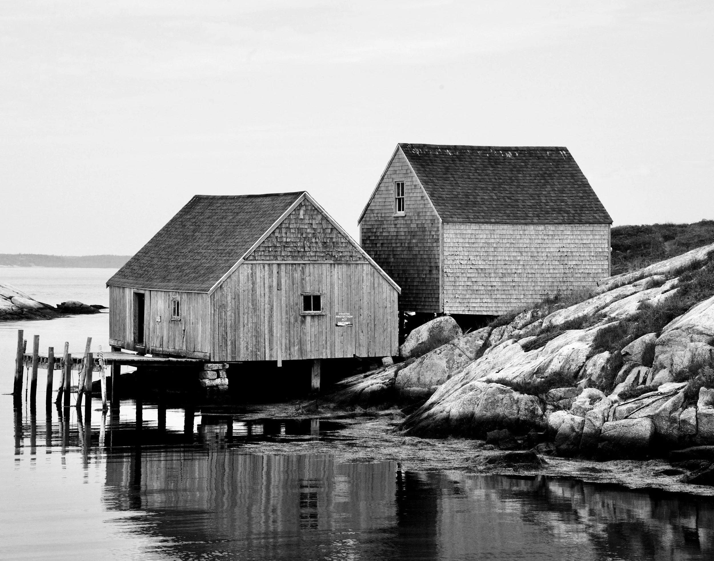 Weathered Pair