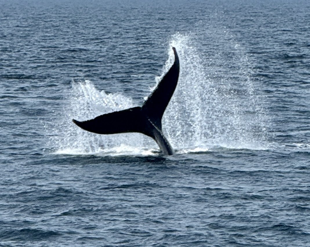 It's a Fluke!