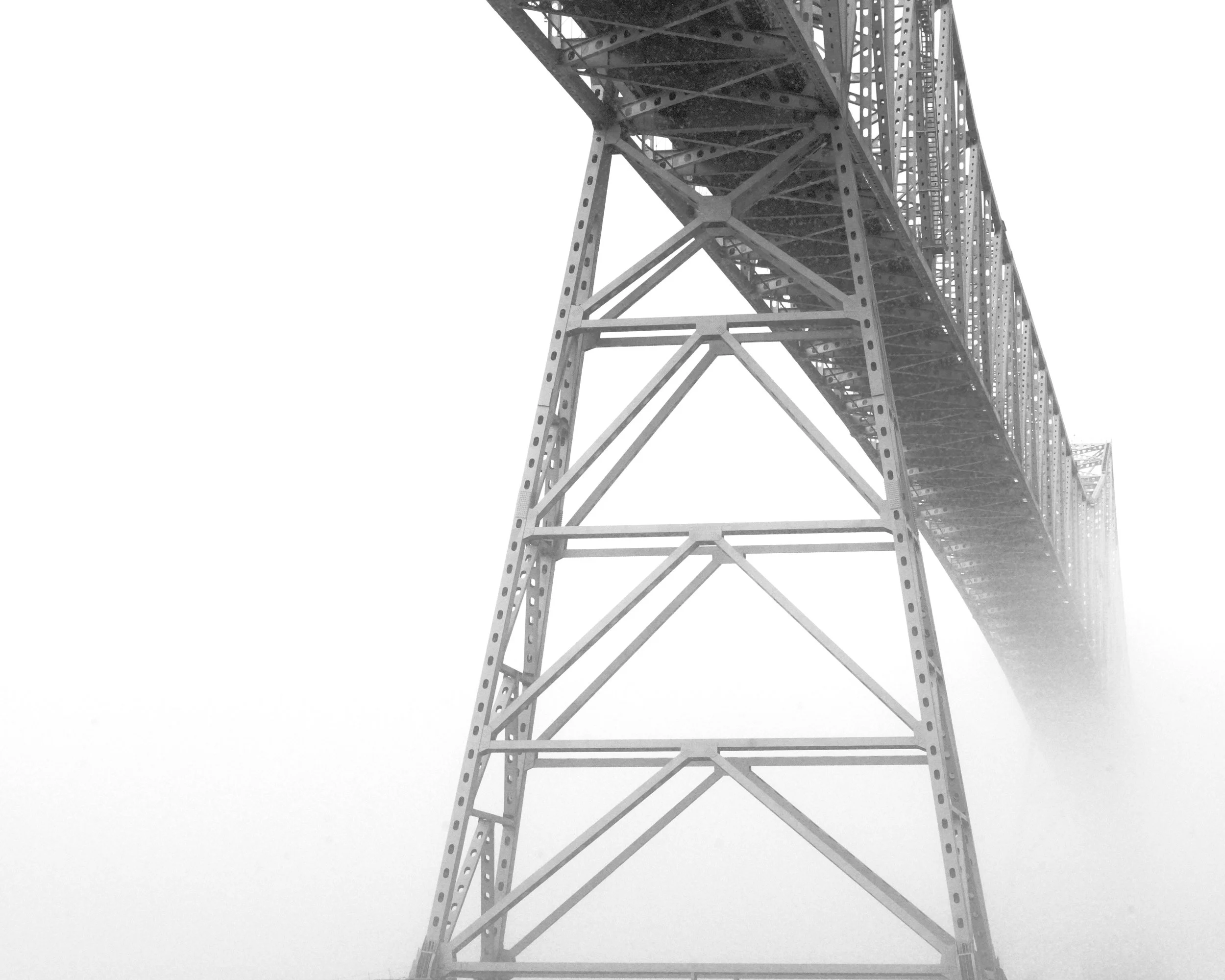 Into the Fog
