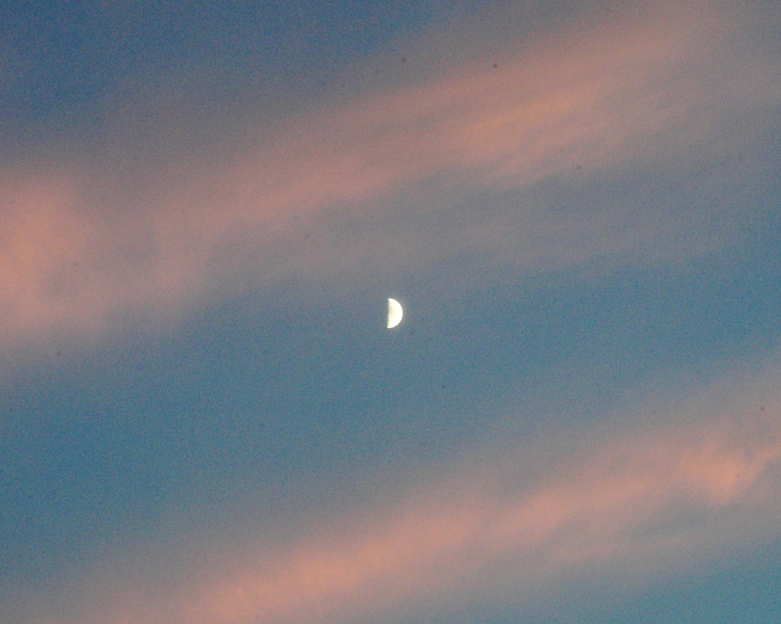 Pastel Evening