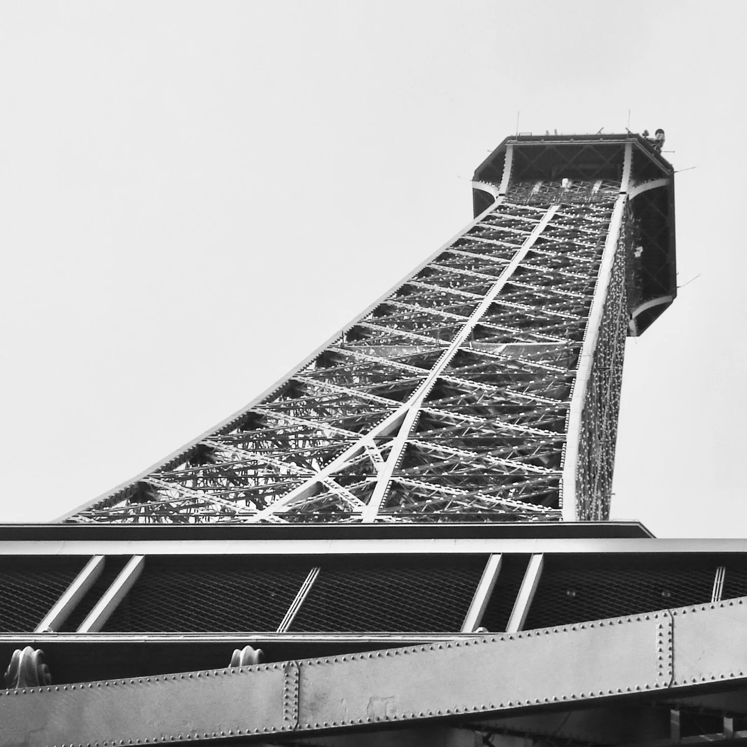 Standing Tall in Paris