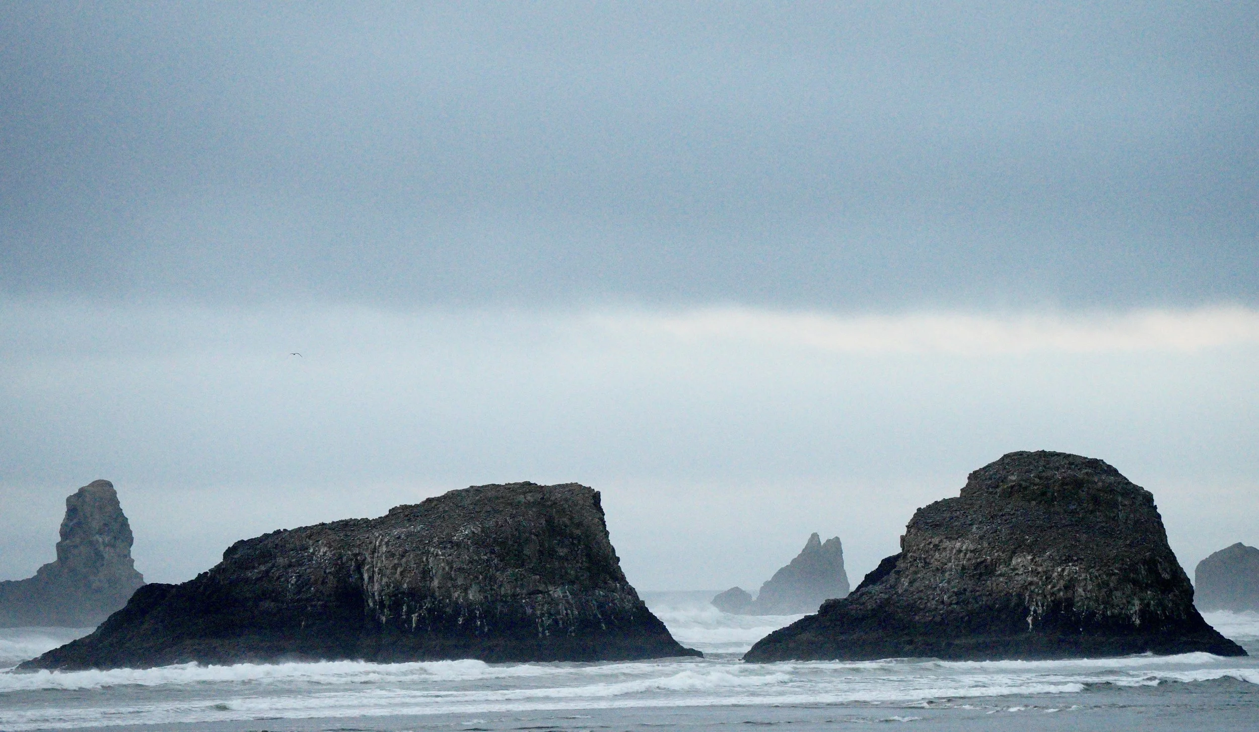 Ocean Sentinels