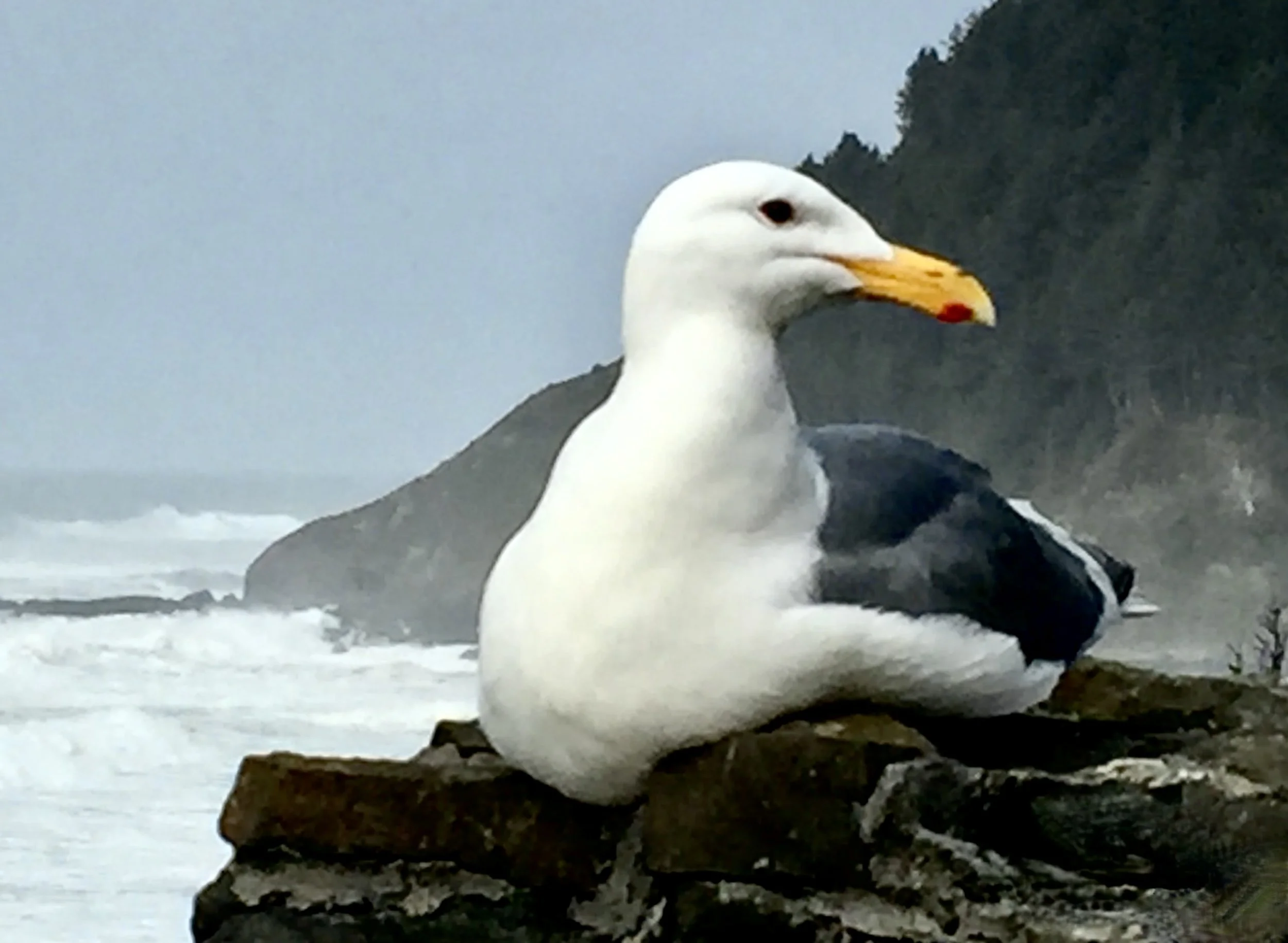 Standing Watch 2