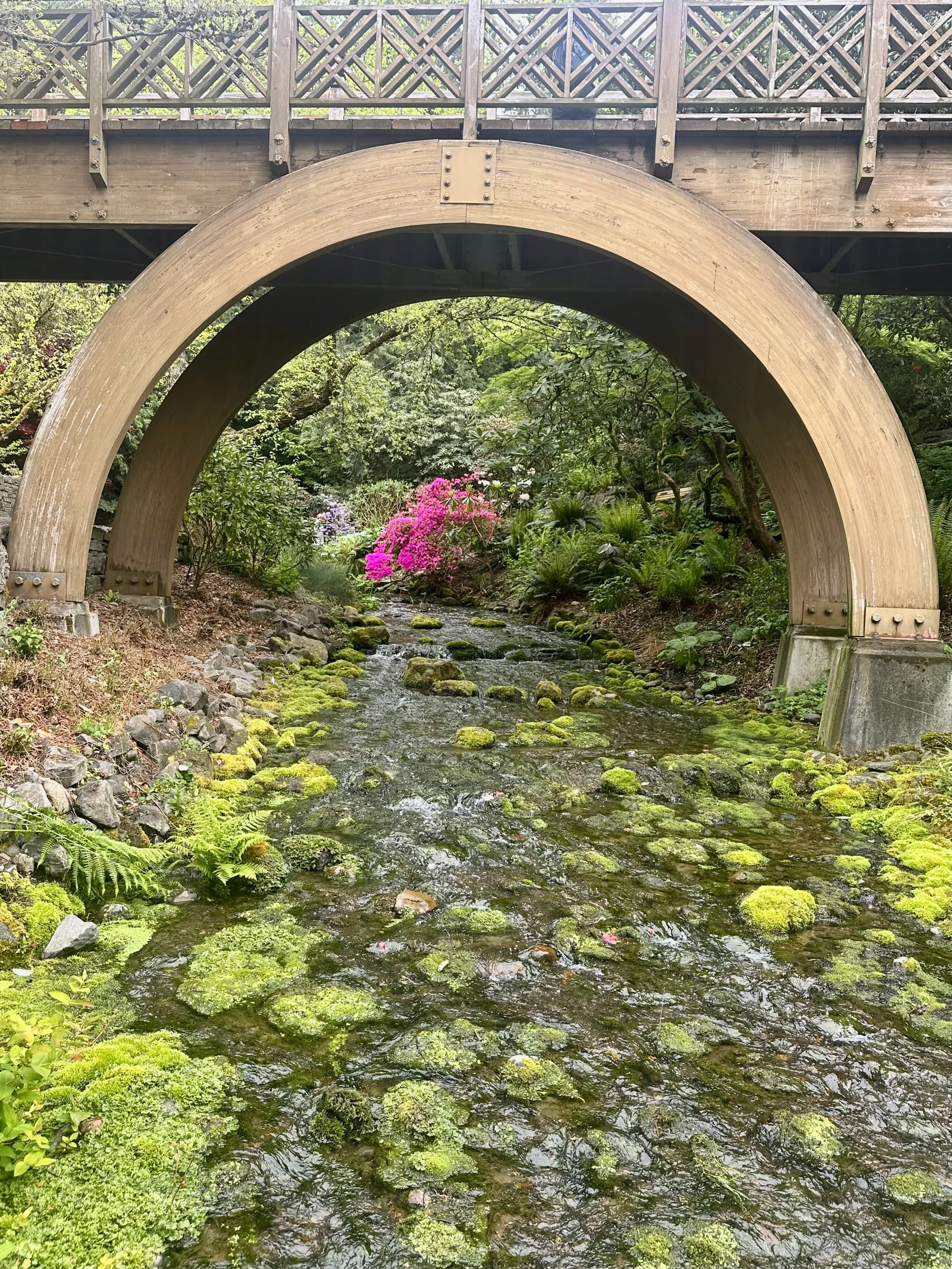 A Garden framed